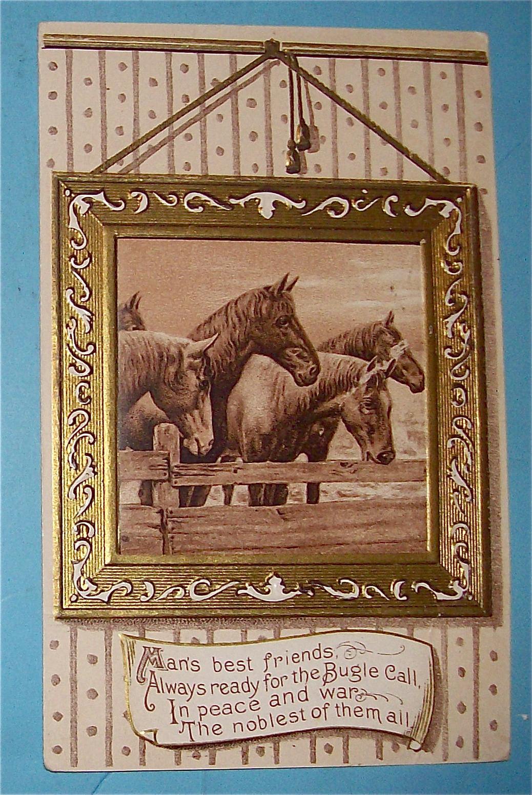 Picture Of Four Horses Postcard