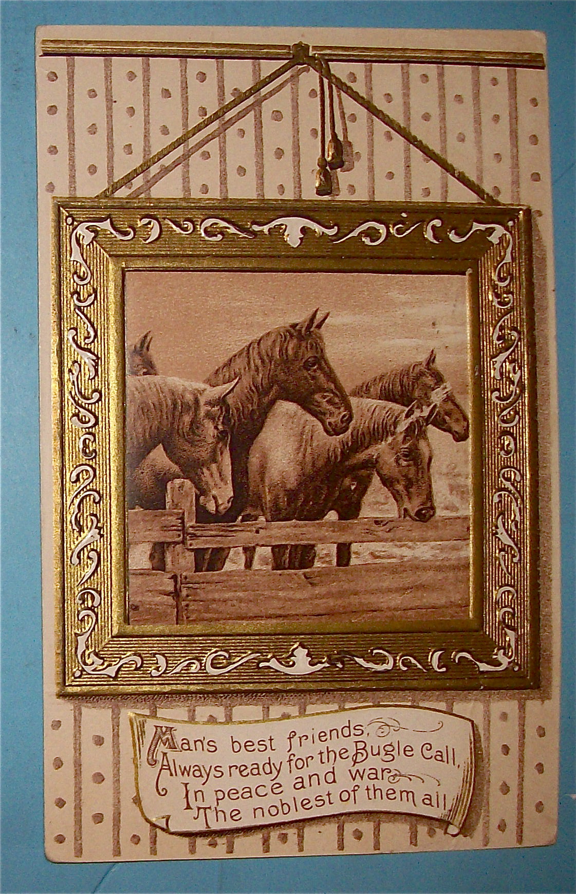 Picture Of Four Horses Postcard