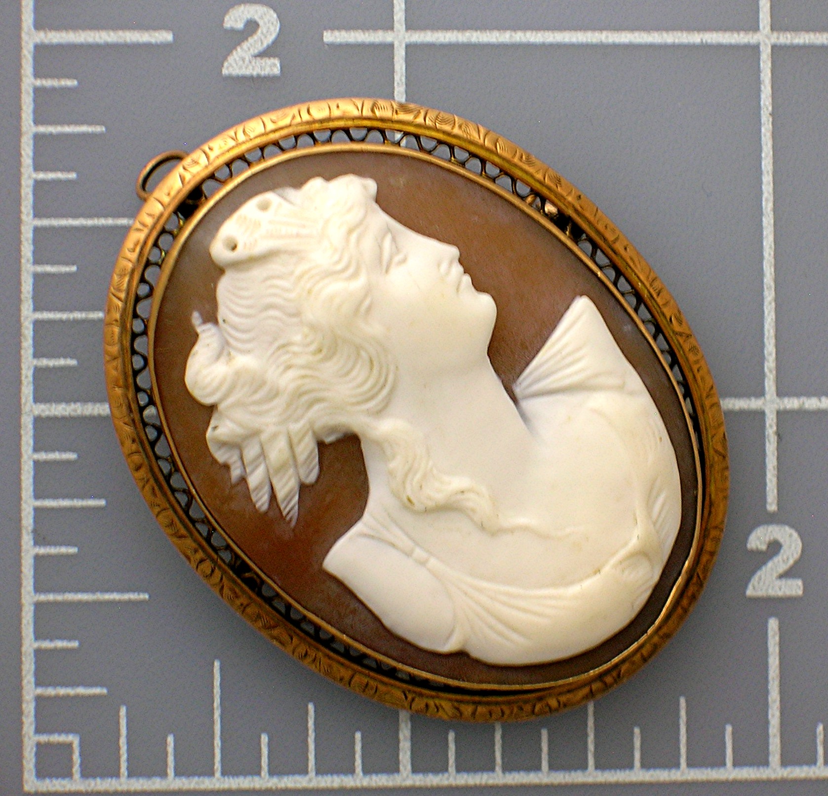 Cameo Brooch  Hand Carved