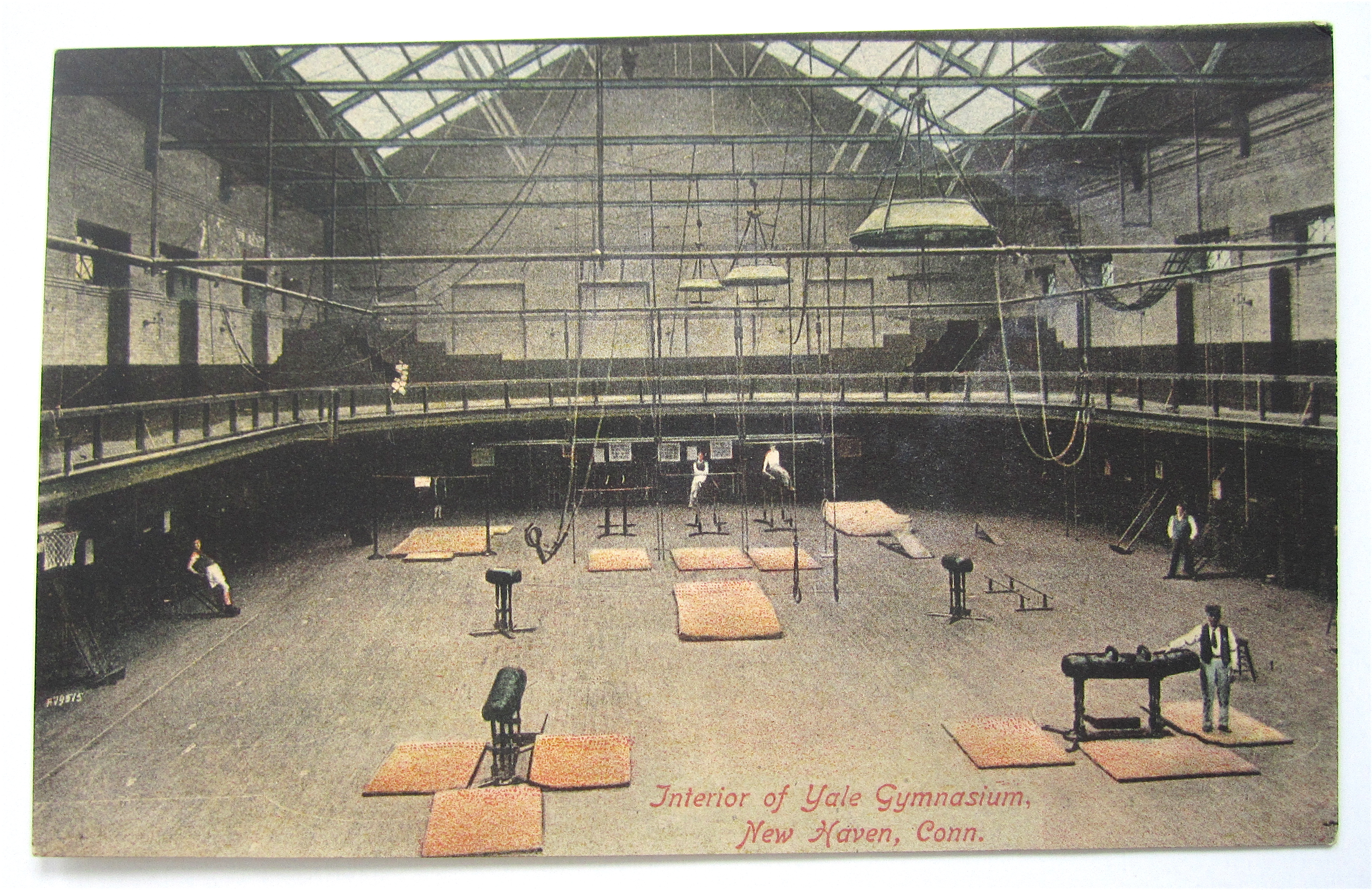 Interior Of Yale Gymnasium Postcard