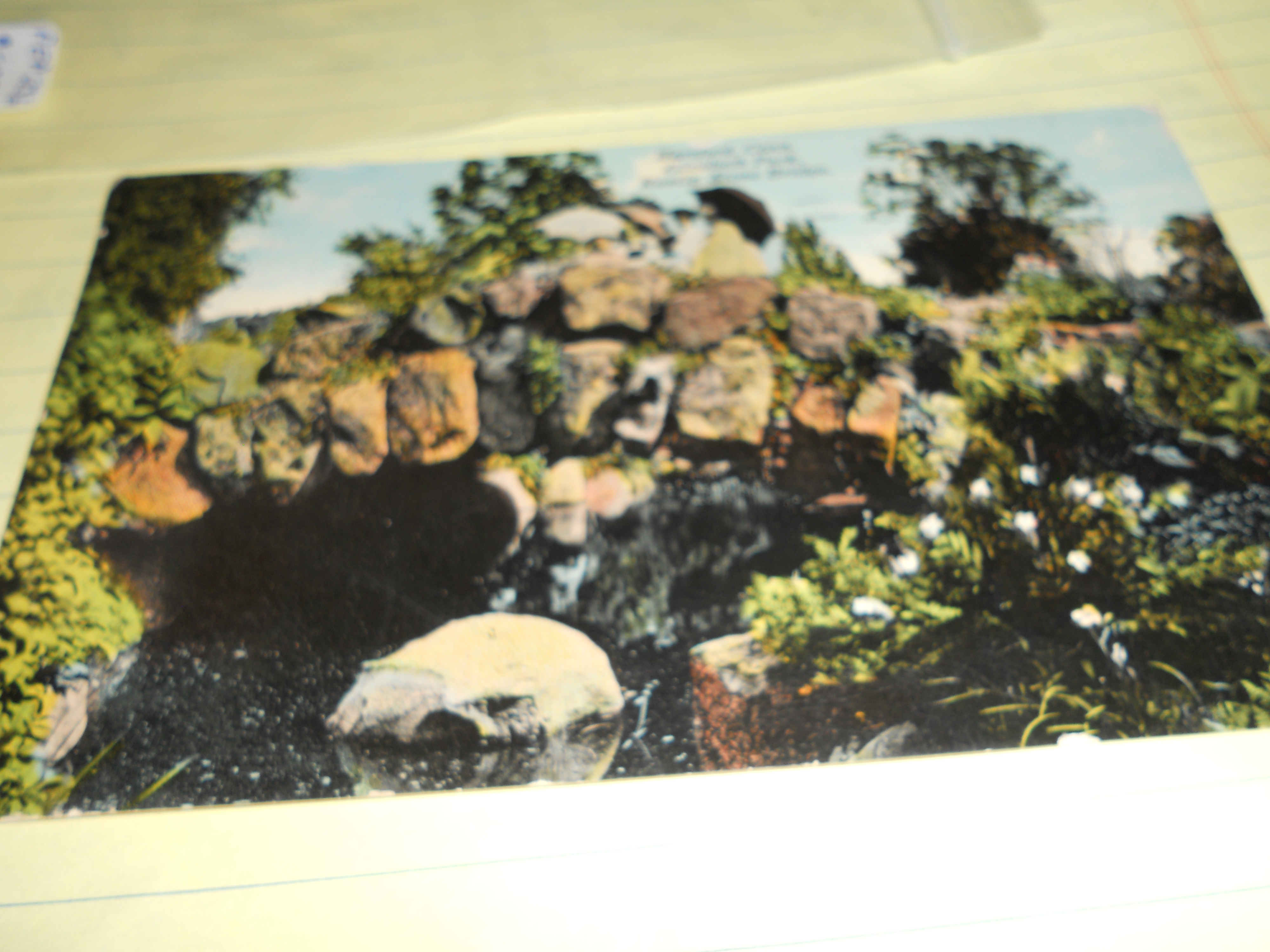 Elizabeth Park Postcard, Hartford, Conn.