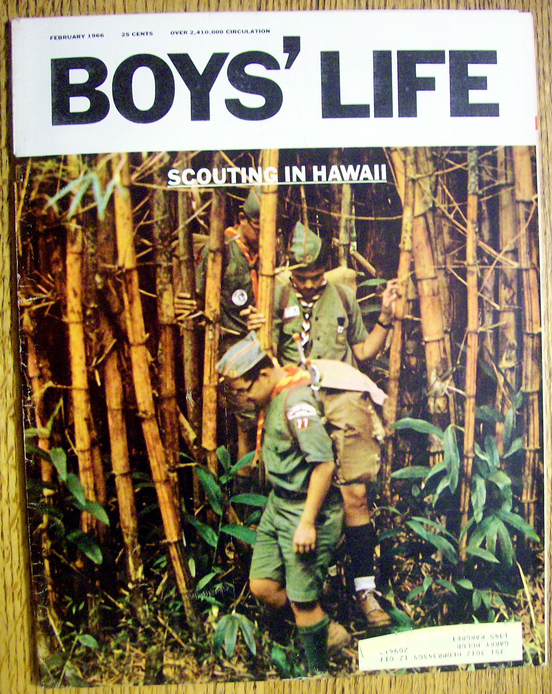 Boys Life Magazine-February 1966-Basketball: Bob Pettit