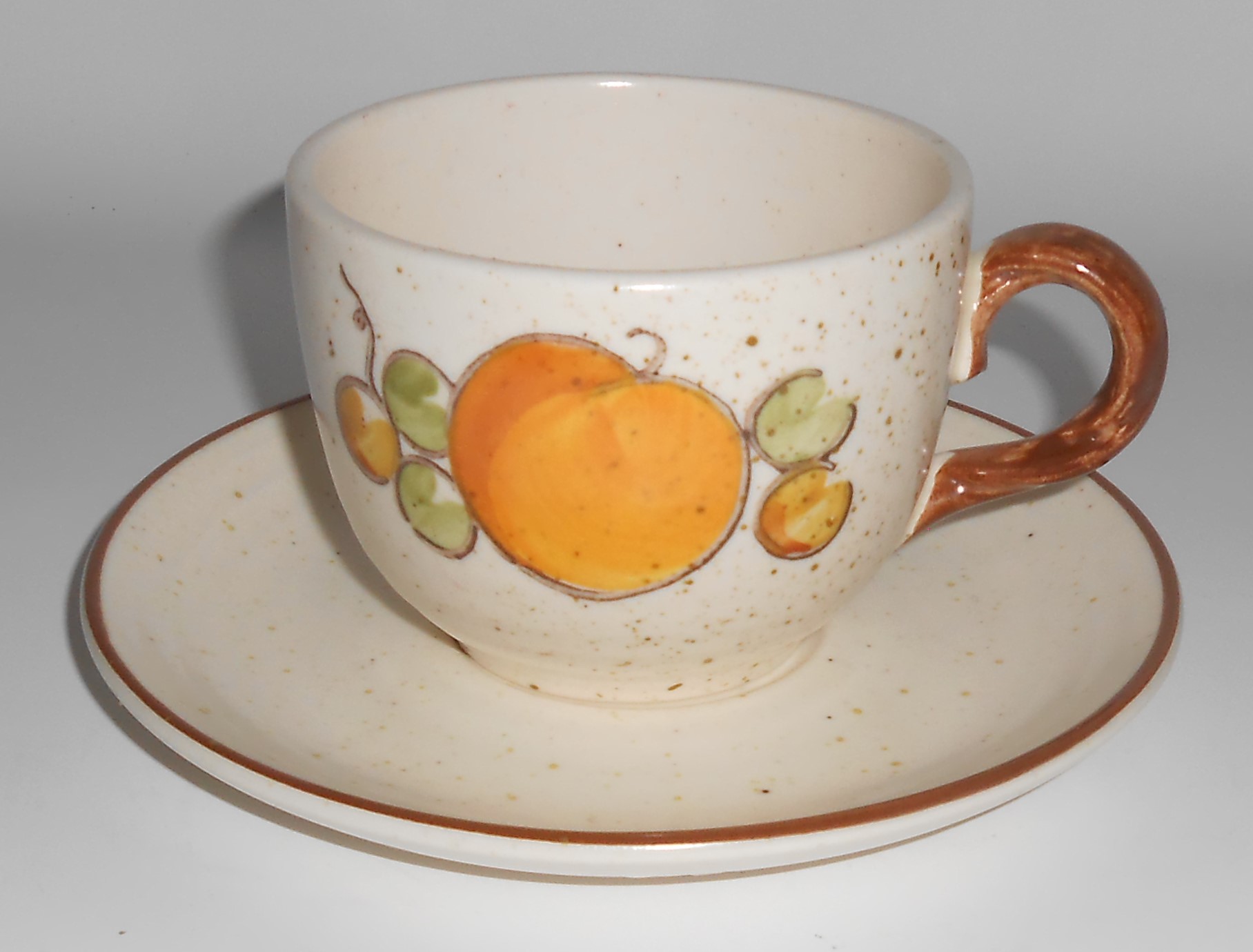 Metlox Pottery Poppy Trail Tropicana Cup & Saucer Set