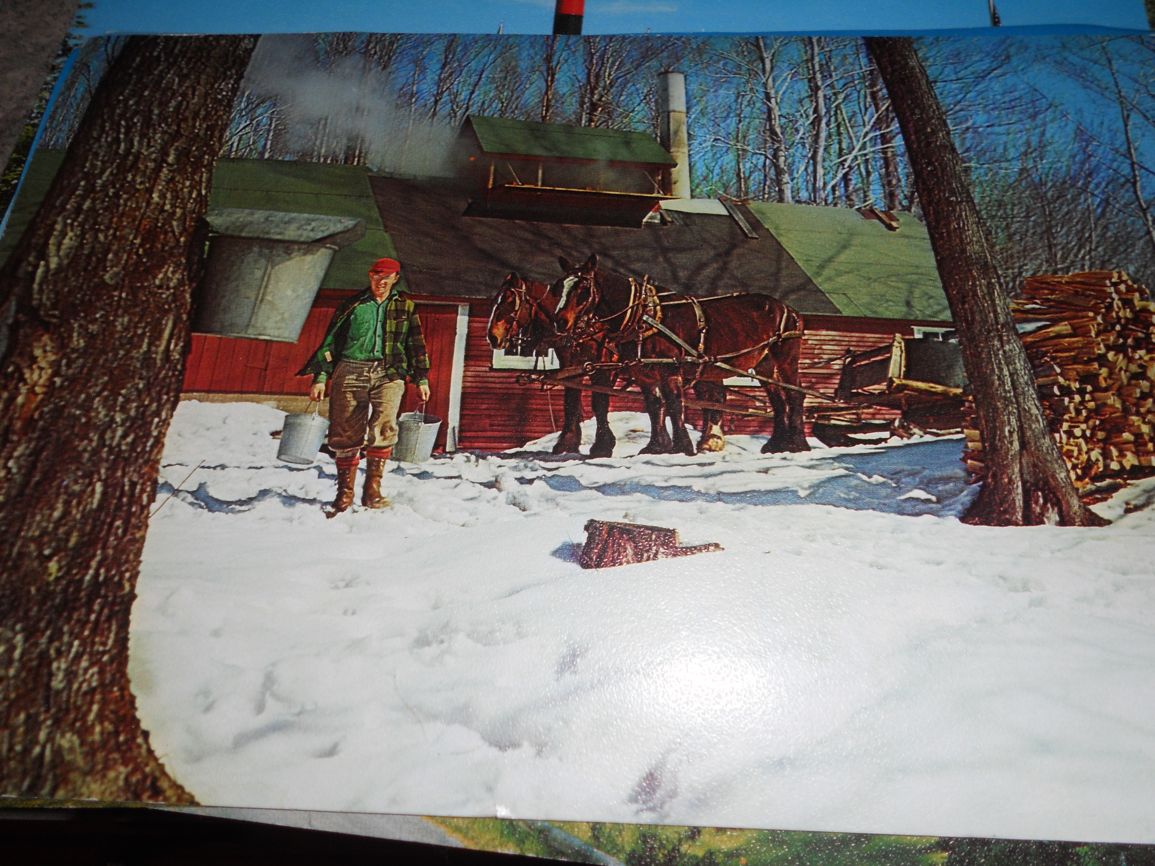 Postcards, Vermont Set of 4 Large