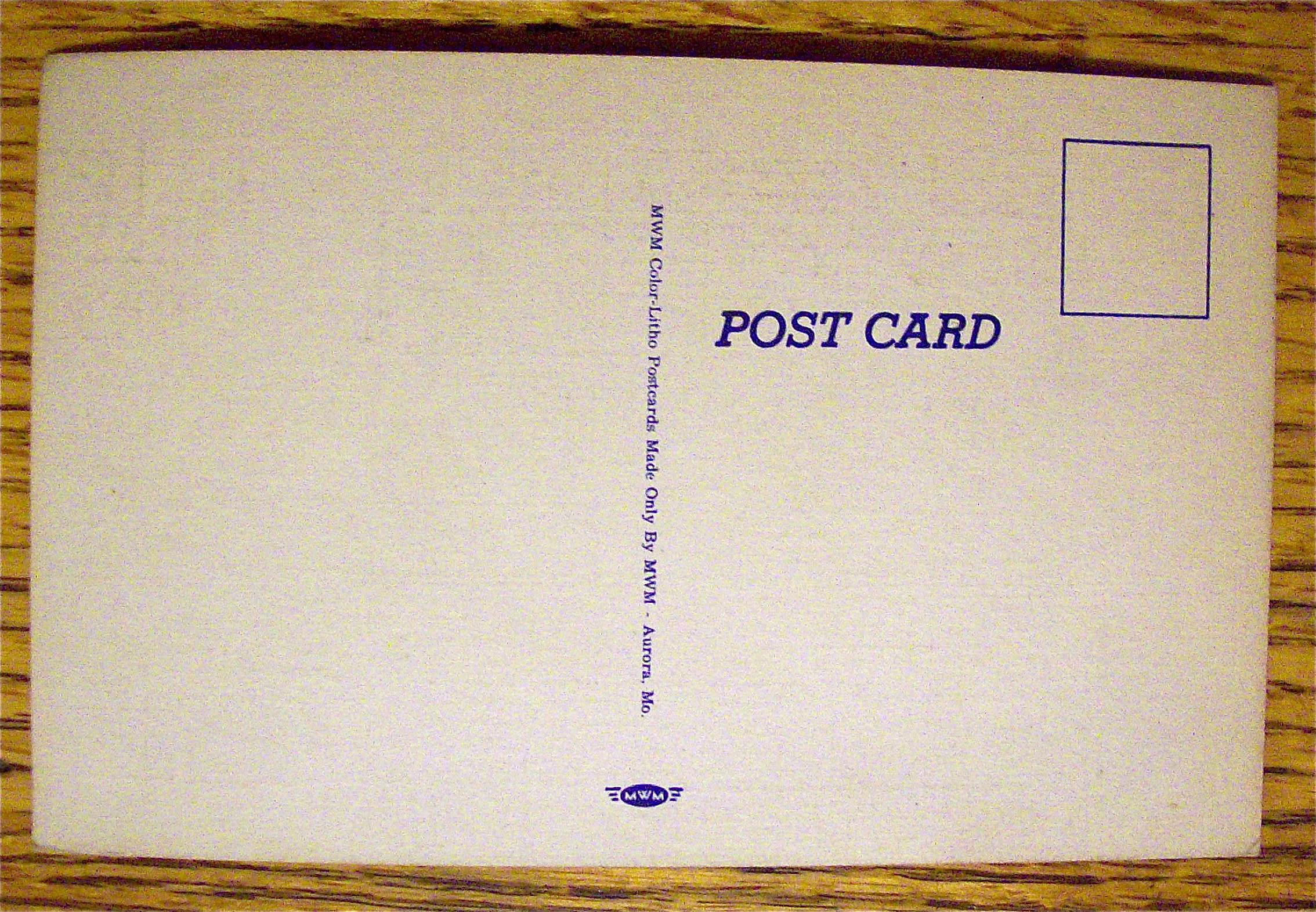 Woman Lifeguard Saves Man From Drowning Postcard