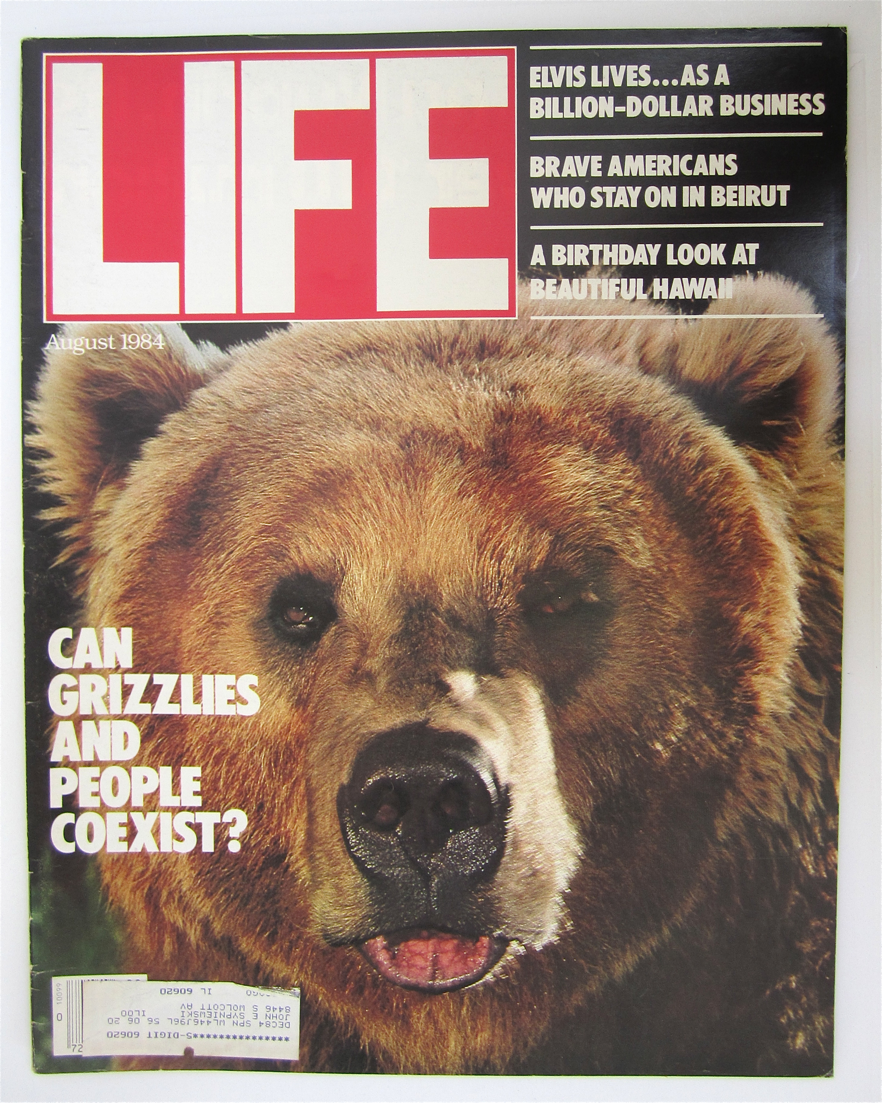 Life Magazine-August 1984-Grizzly Bears