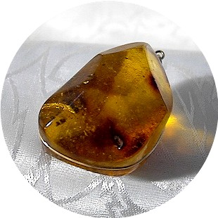 Baltic  Amber Gold Wrap Pendant