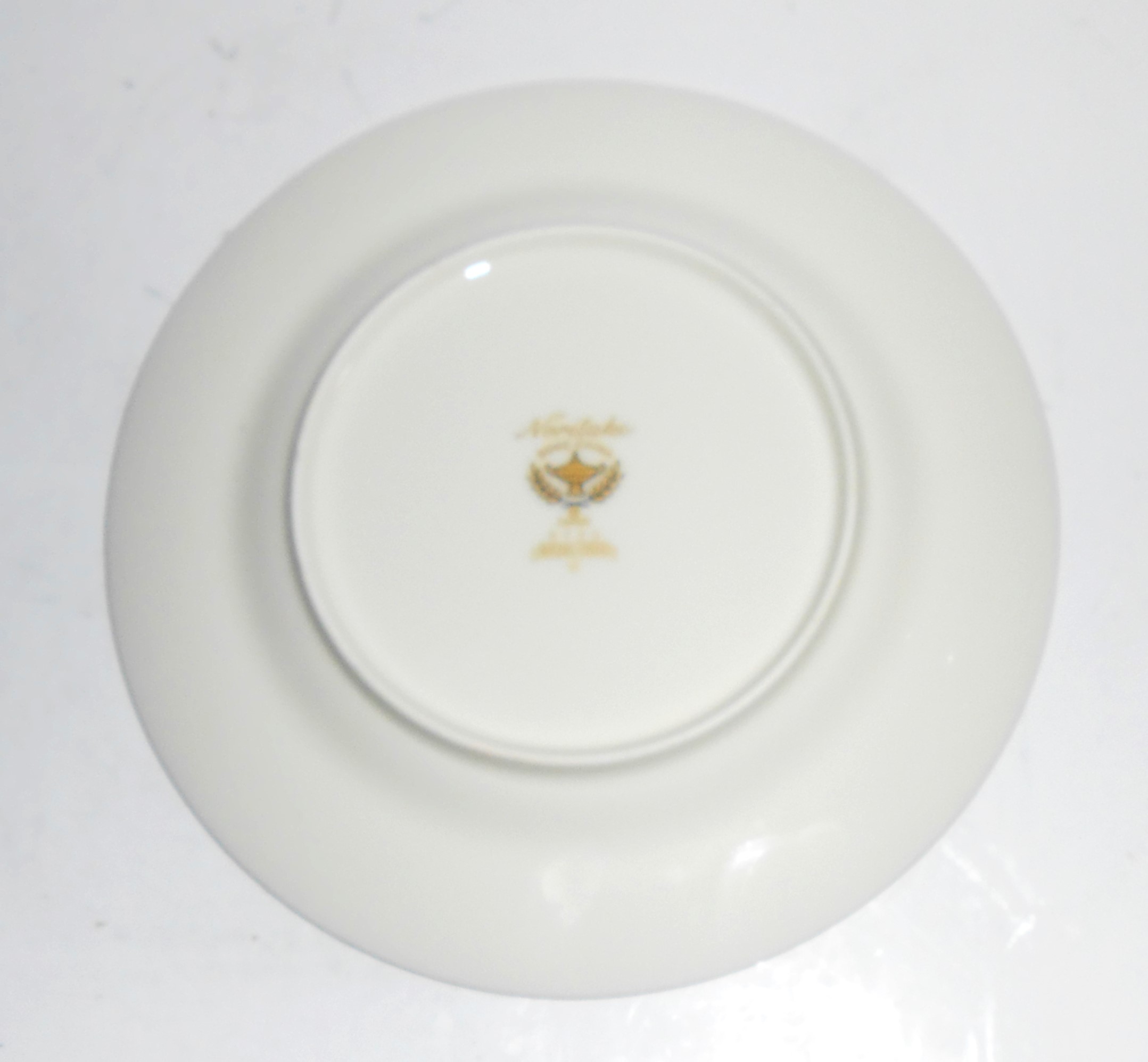 Noritake China Porcelain Platinum 9720 Imperial Garden