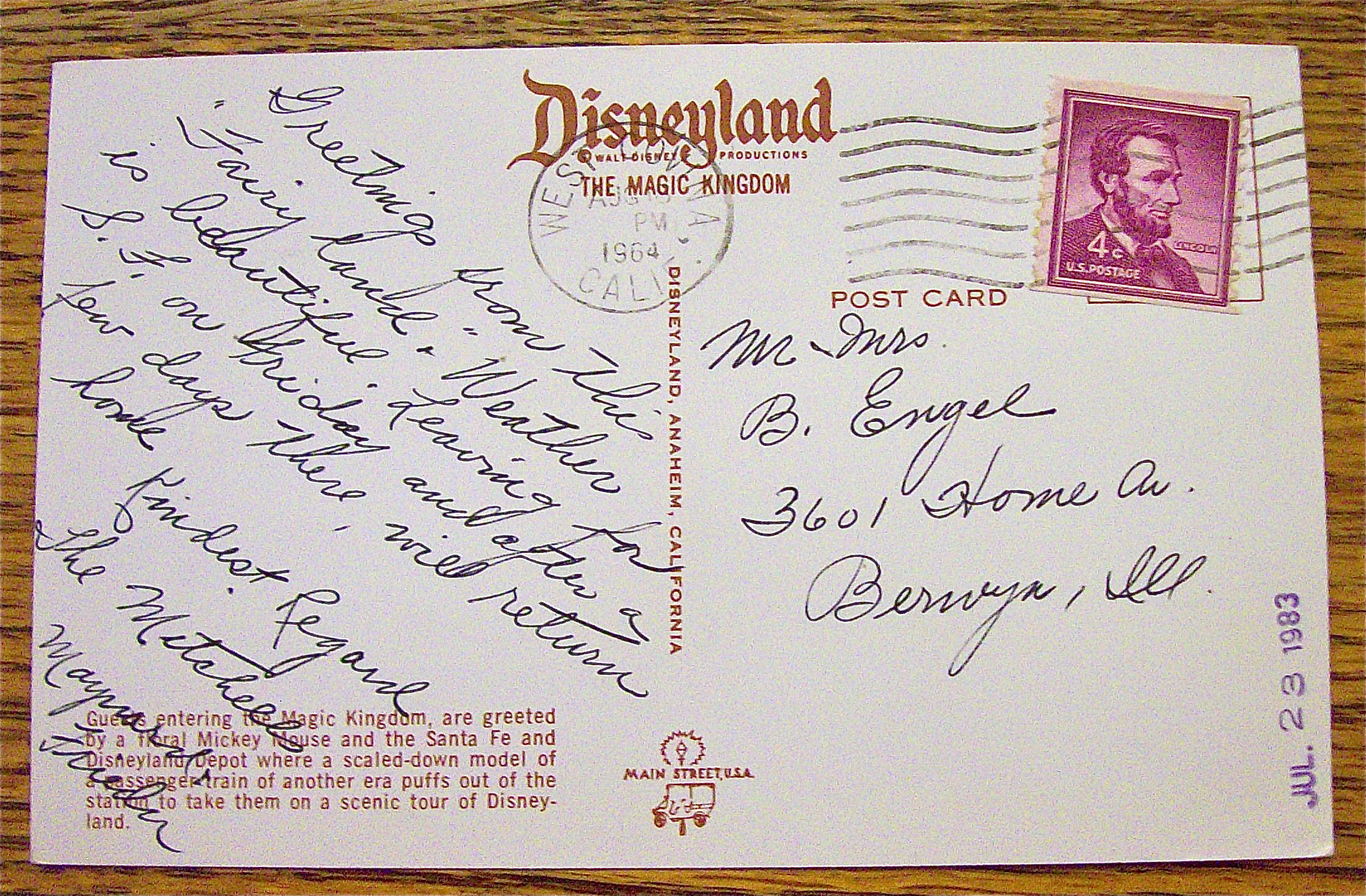 Entrance To Magic Kingdom Postcard