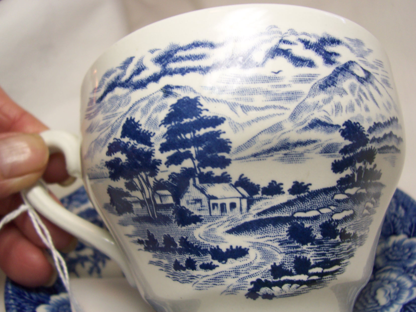 Royal Warwick Lochs of England Cup Saucer