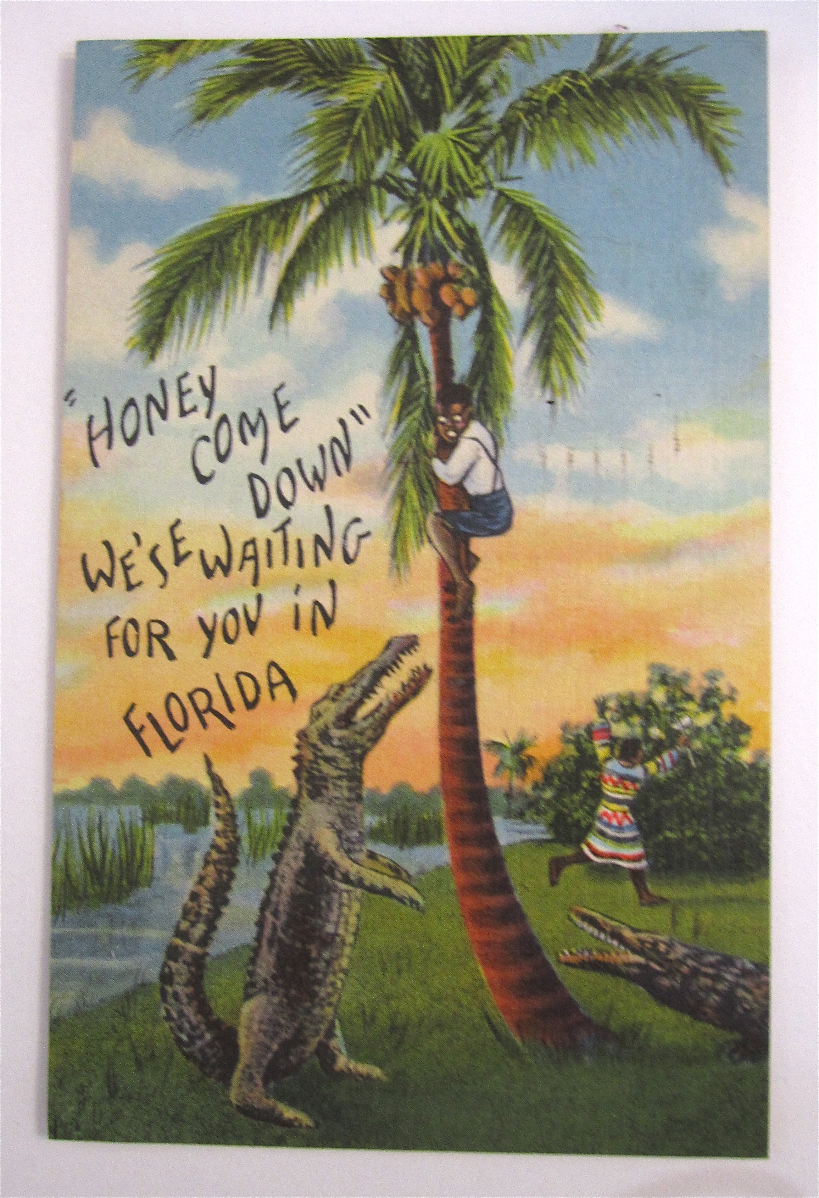 Black Man Hiding In Tree From Alligator Postcard