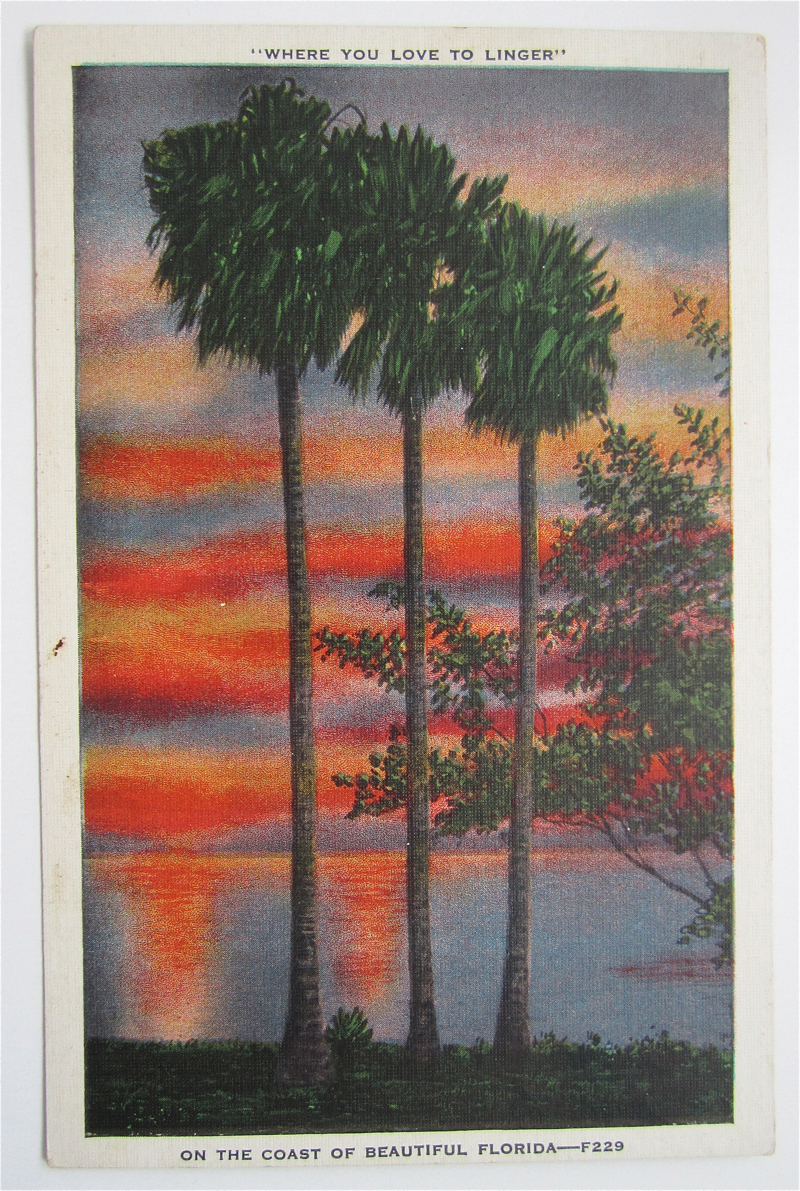 On The Coast Of Beautiful Florida Postcard