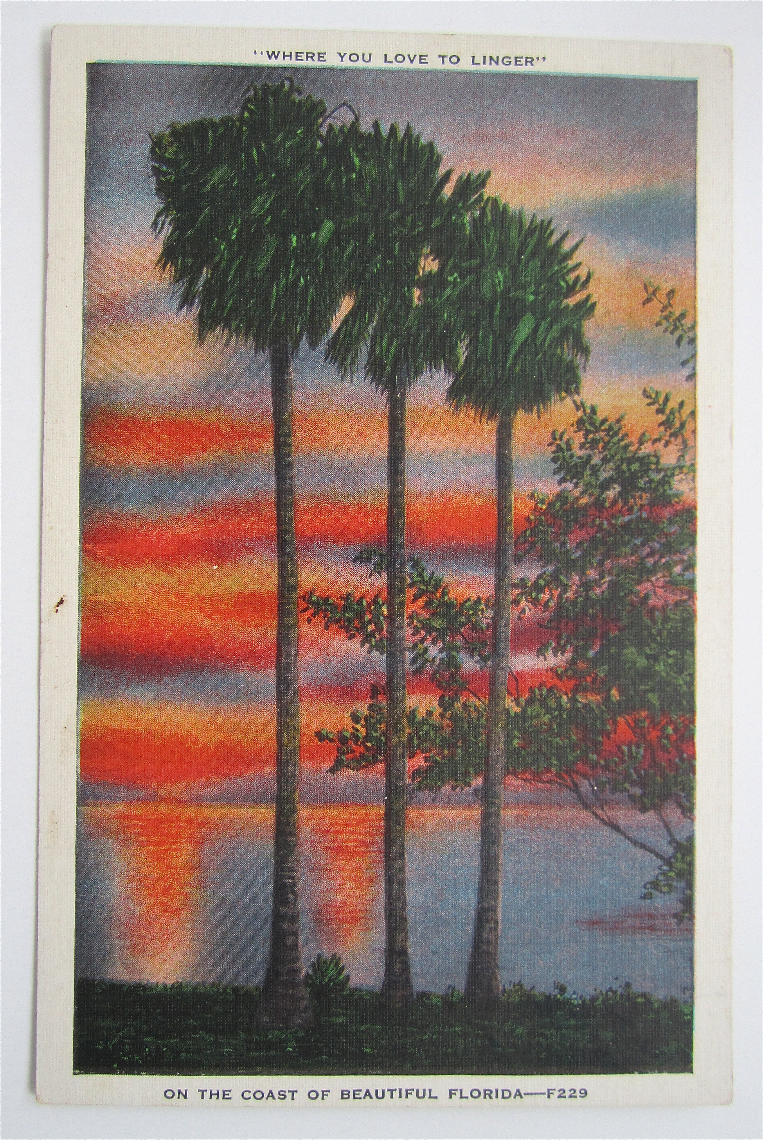 On The Coast Of Beautiful Florida Postcard