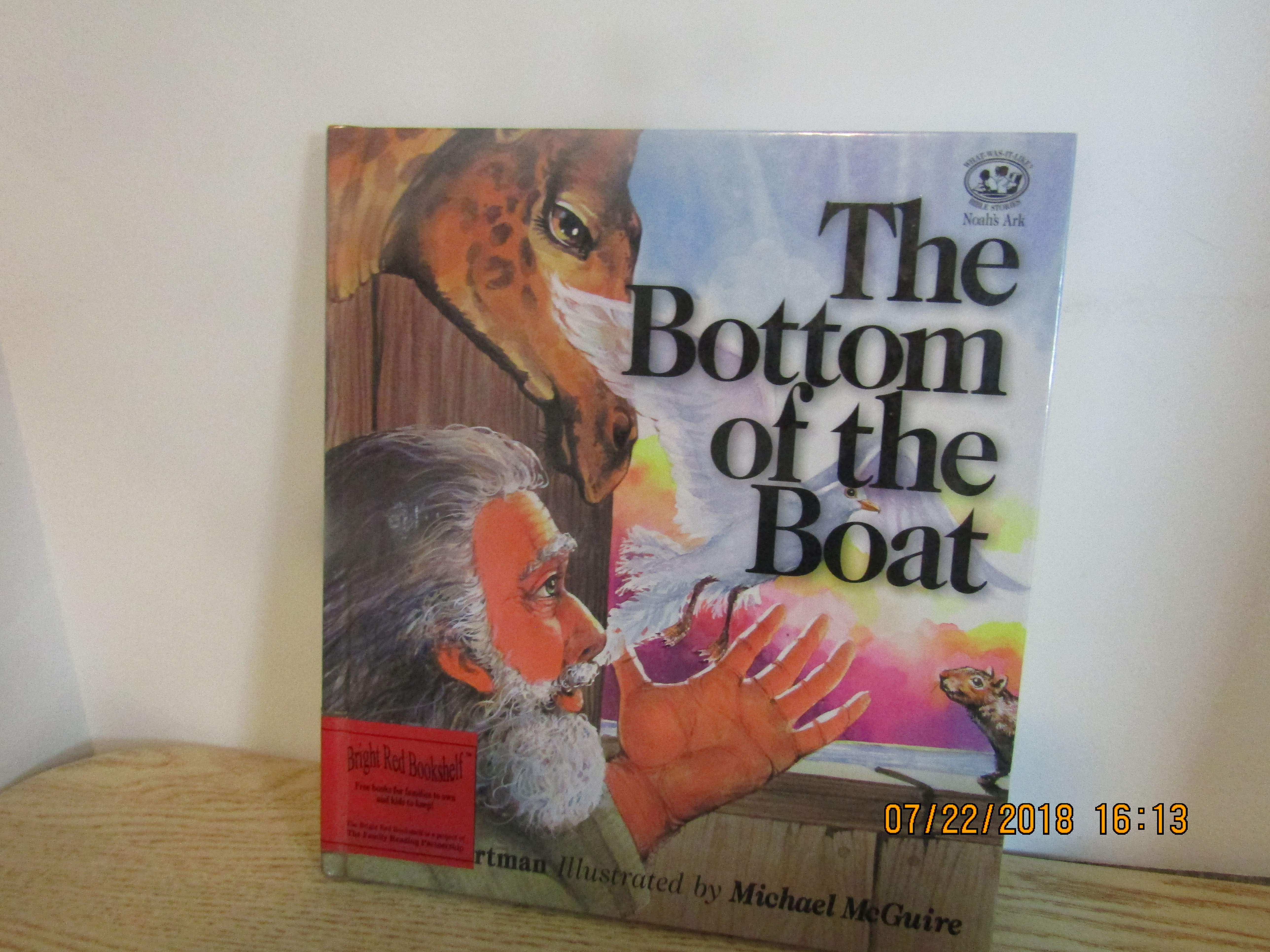 Noah's Ark Bible Story The Bottom Of The Boat