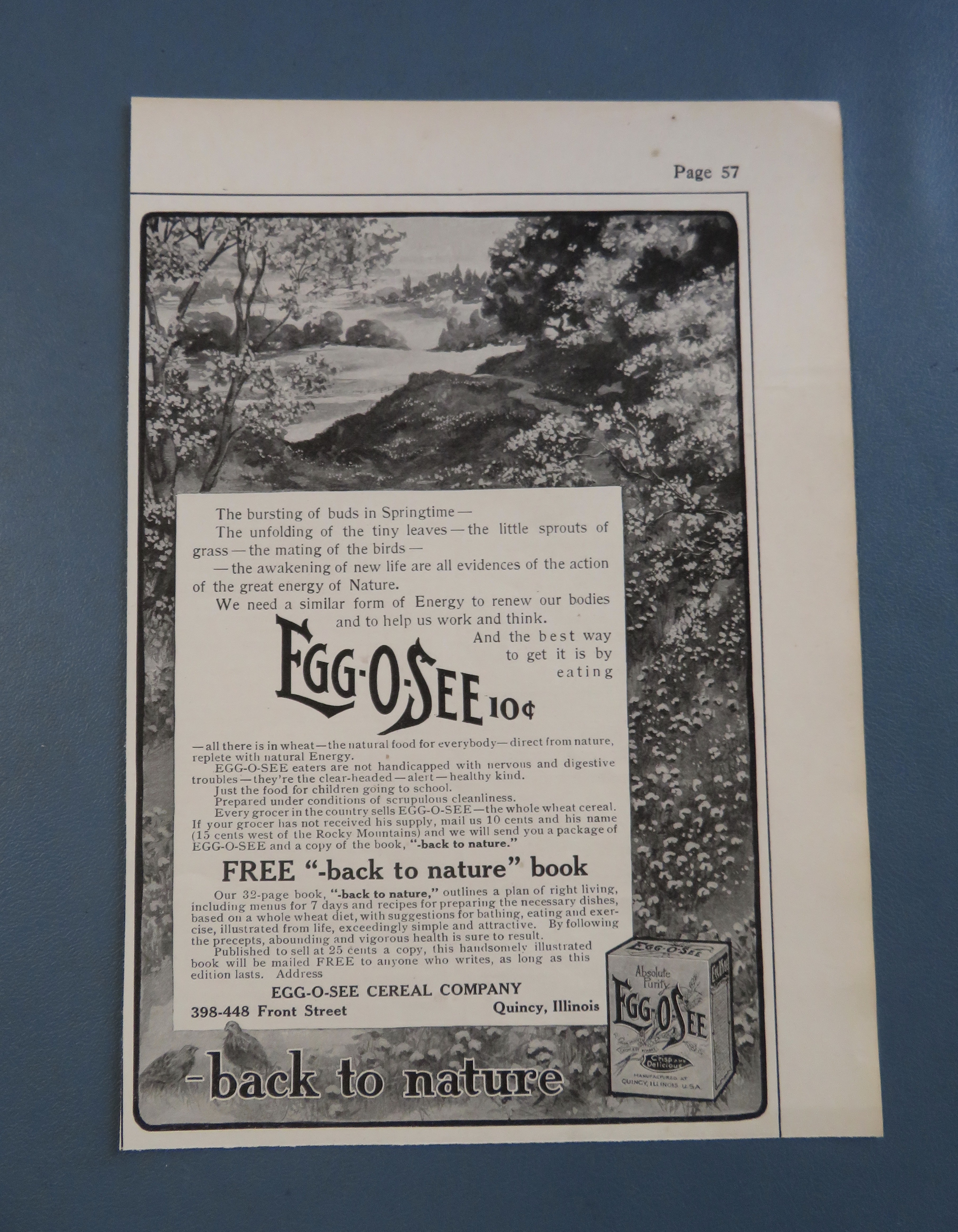 1906 Egg O See Cereal with Forest Scene