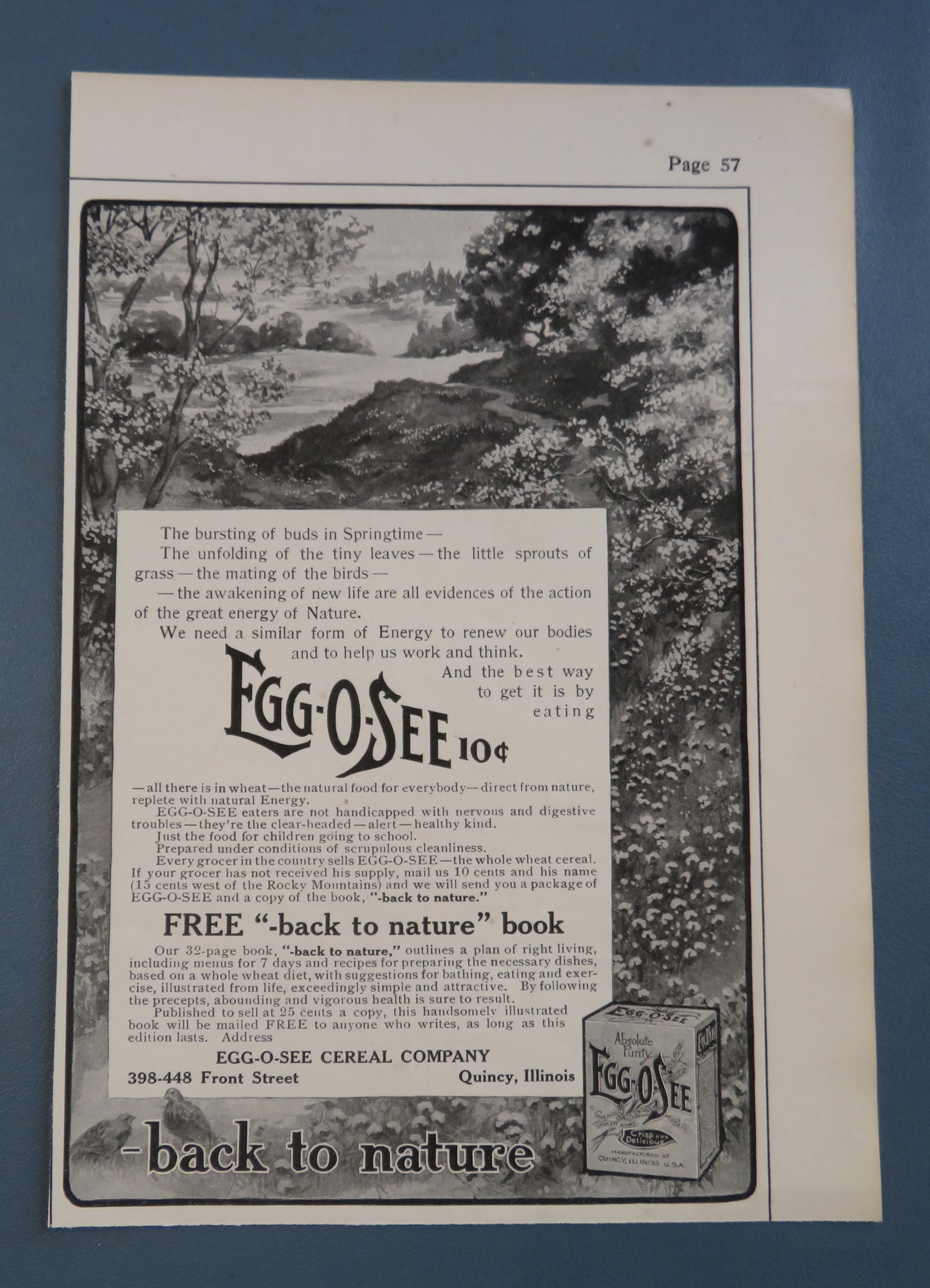 1906 Egg O See Cereal with Forest Scene