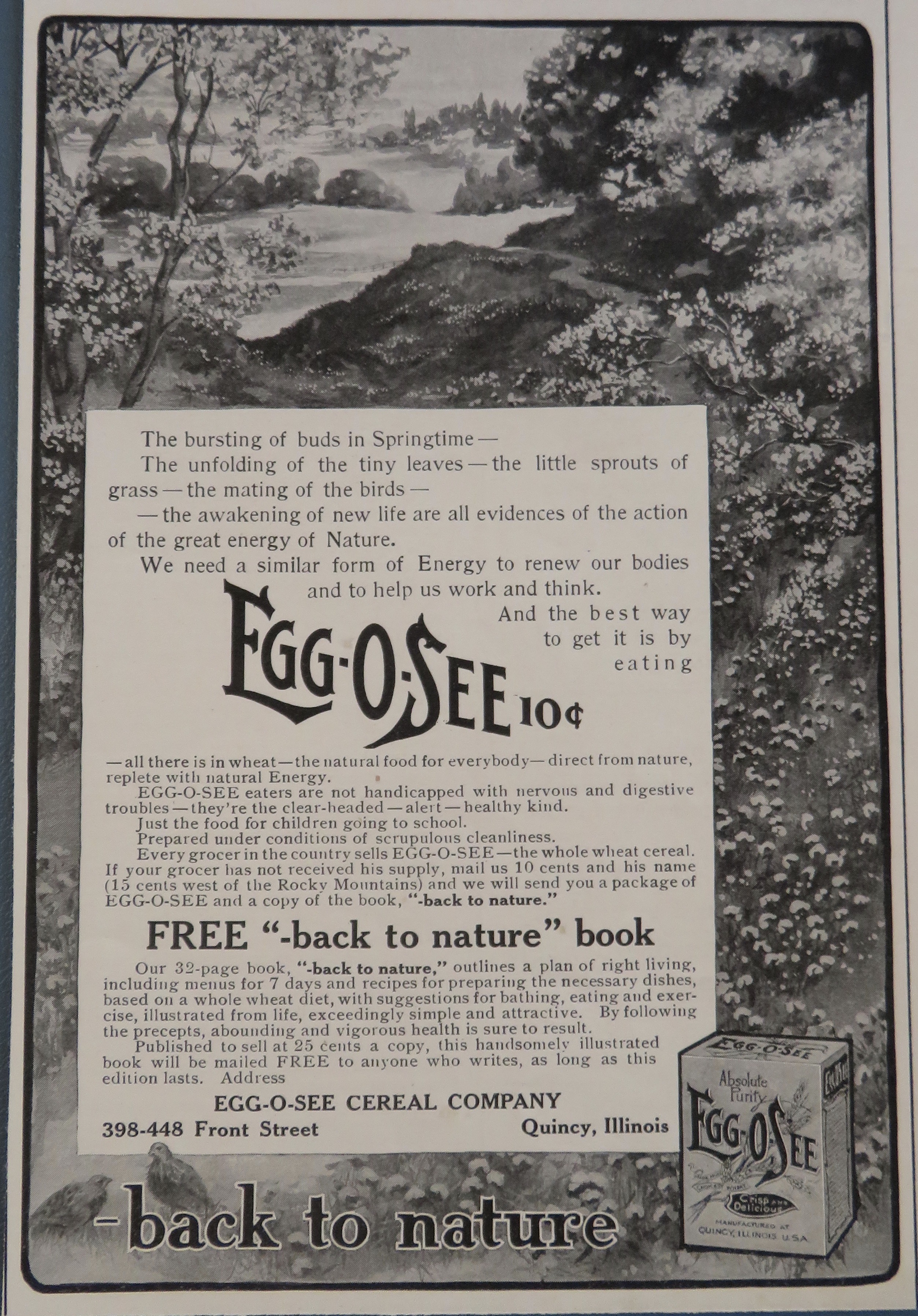 1906 Egg O See Cereal with Forest Scene