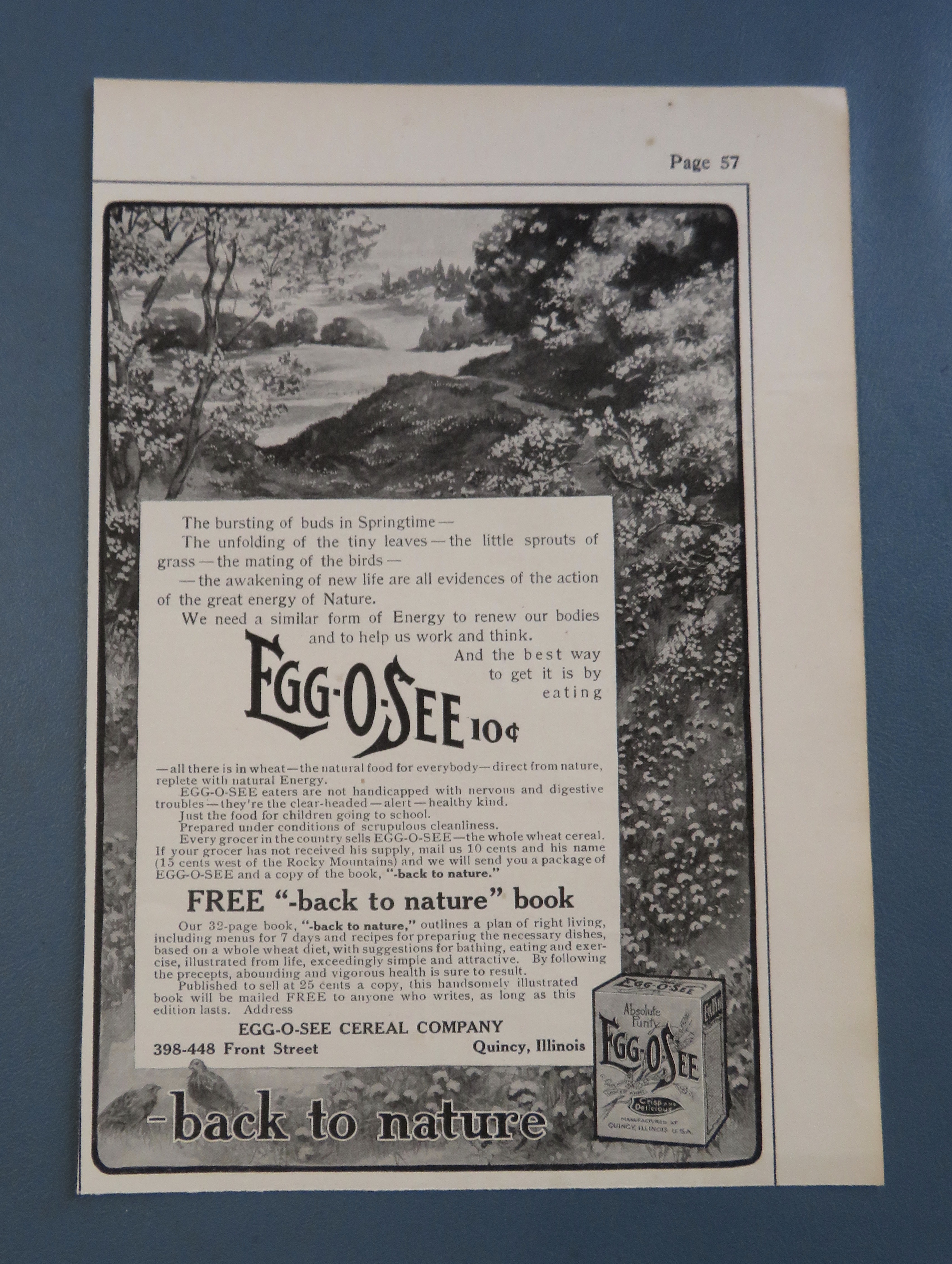 1906 Egg O See Cereal with Forest Scene