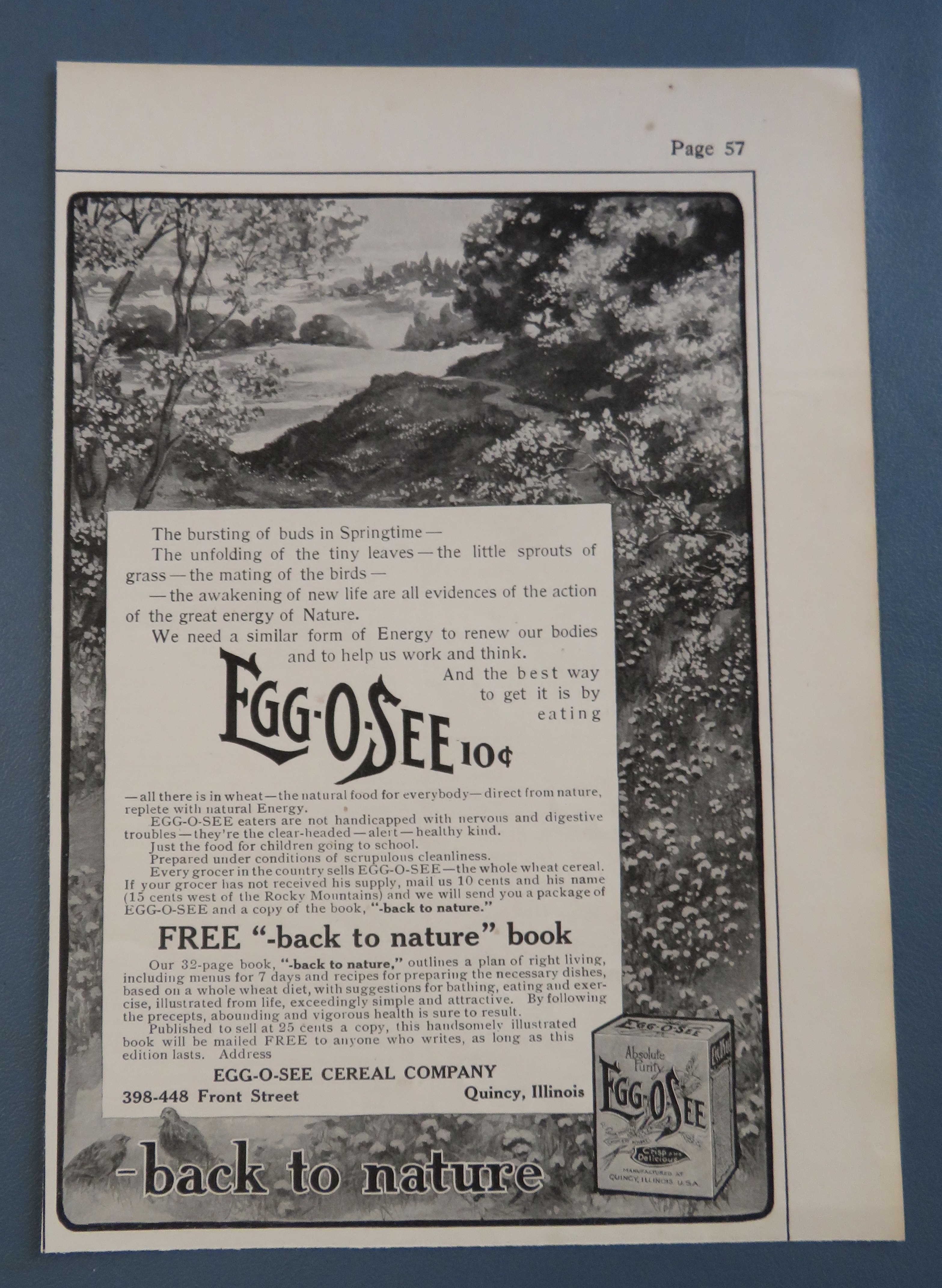 1906 Egg O See Cereal with Forest Scene