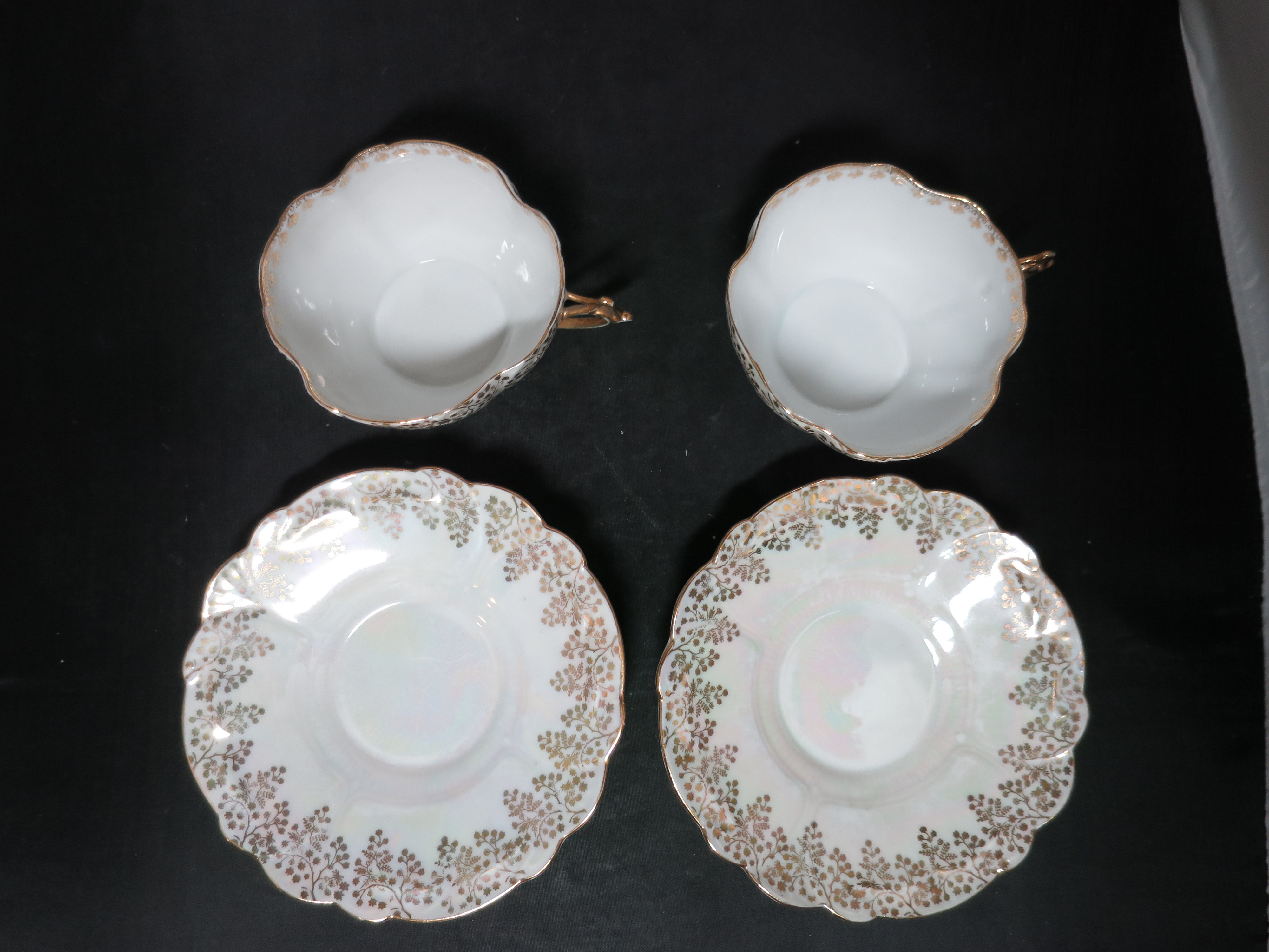 Rudolstadt Germany Cup and Saucer Lustreware Set of Two