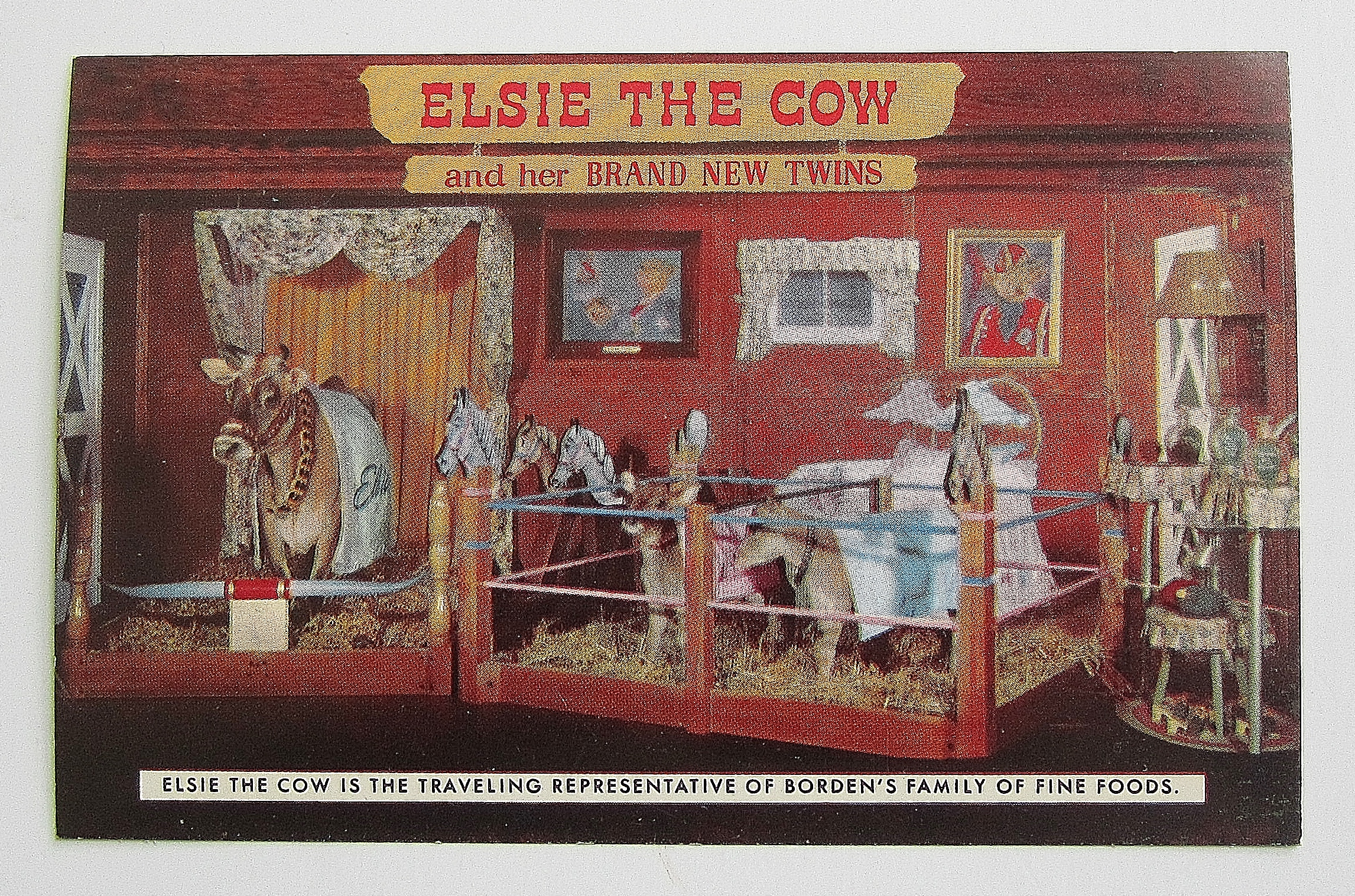 Elsie & Her Twins In Person Postcard