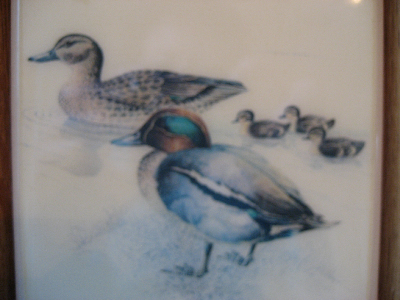 Duck Stream Framed Tile