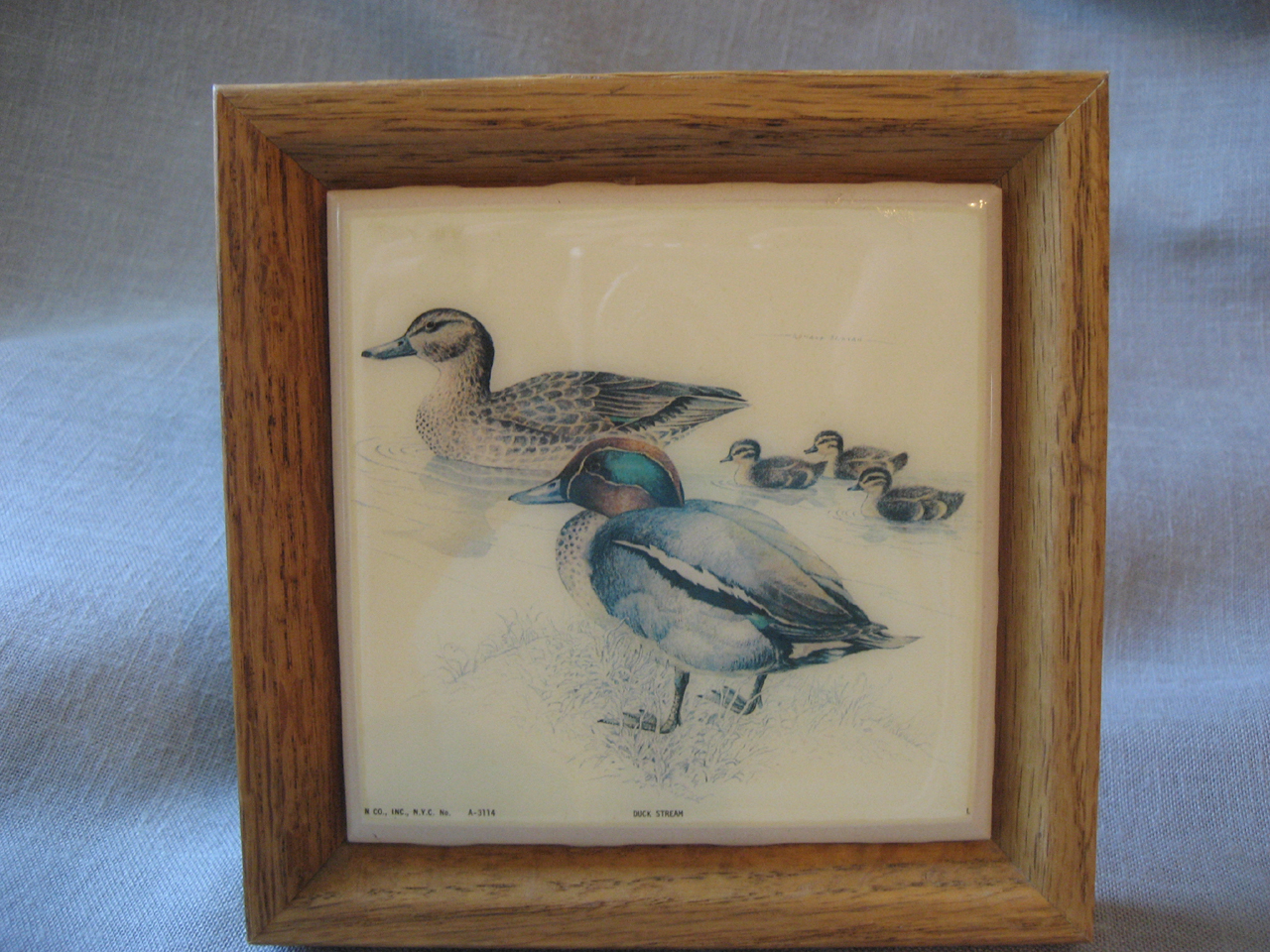 Duck Stream Framed Tile