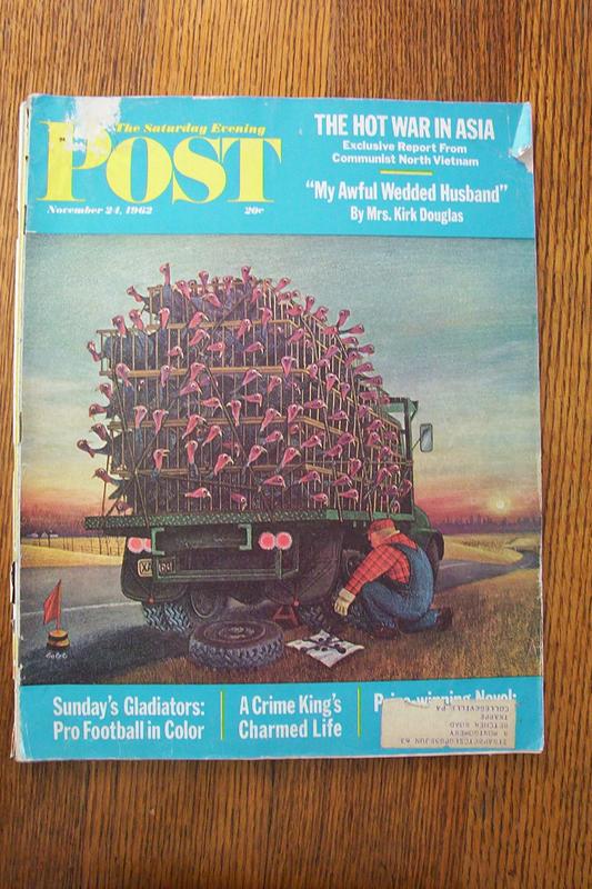 Saturday Evening Post Magazine - November 24, 1962