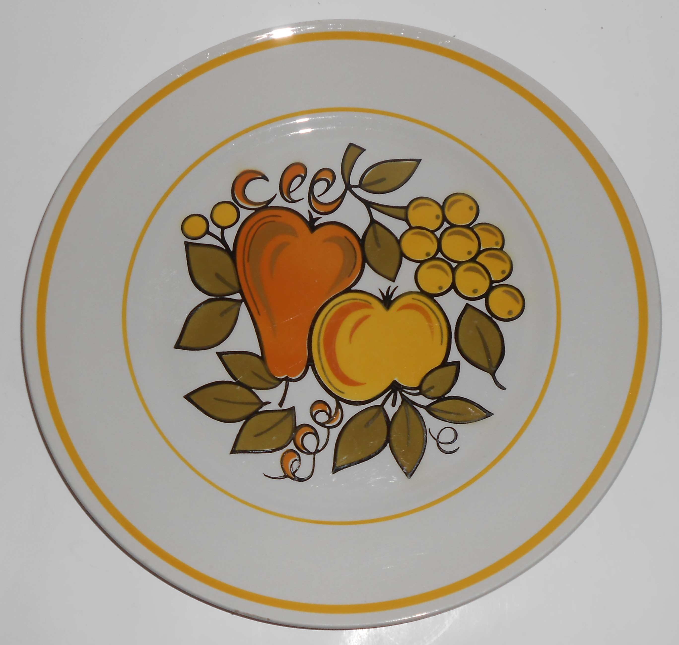 Mikasa China Nectar D4301 Dinner Plate