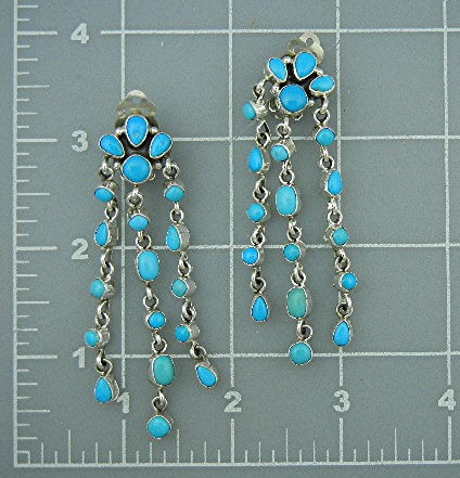 Sleeping Beauty Turquoise Navajo Sterling Silver Clips