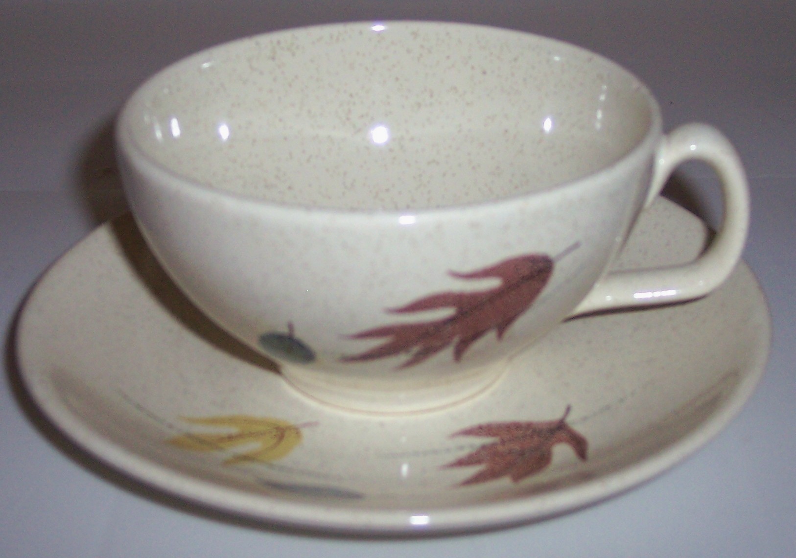 Franciscan Pottery Autumn Cup/Saucer Set!