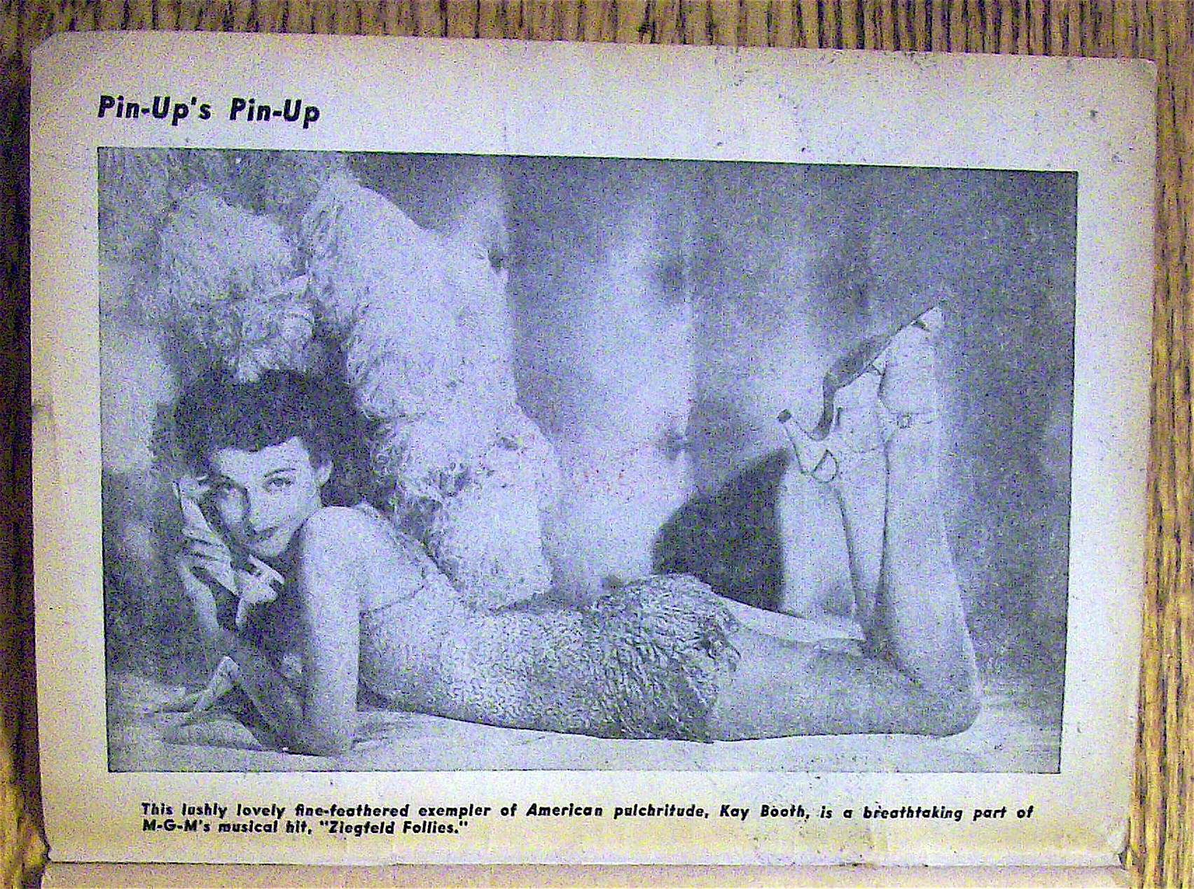 Pin Up Cartoons 1940's The World's Prettiest Girls