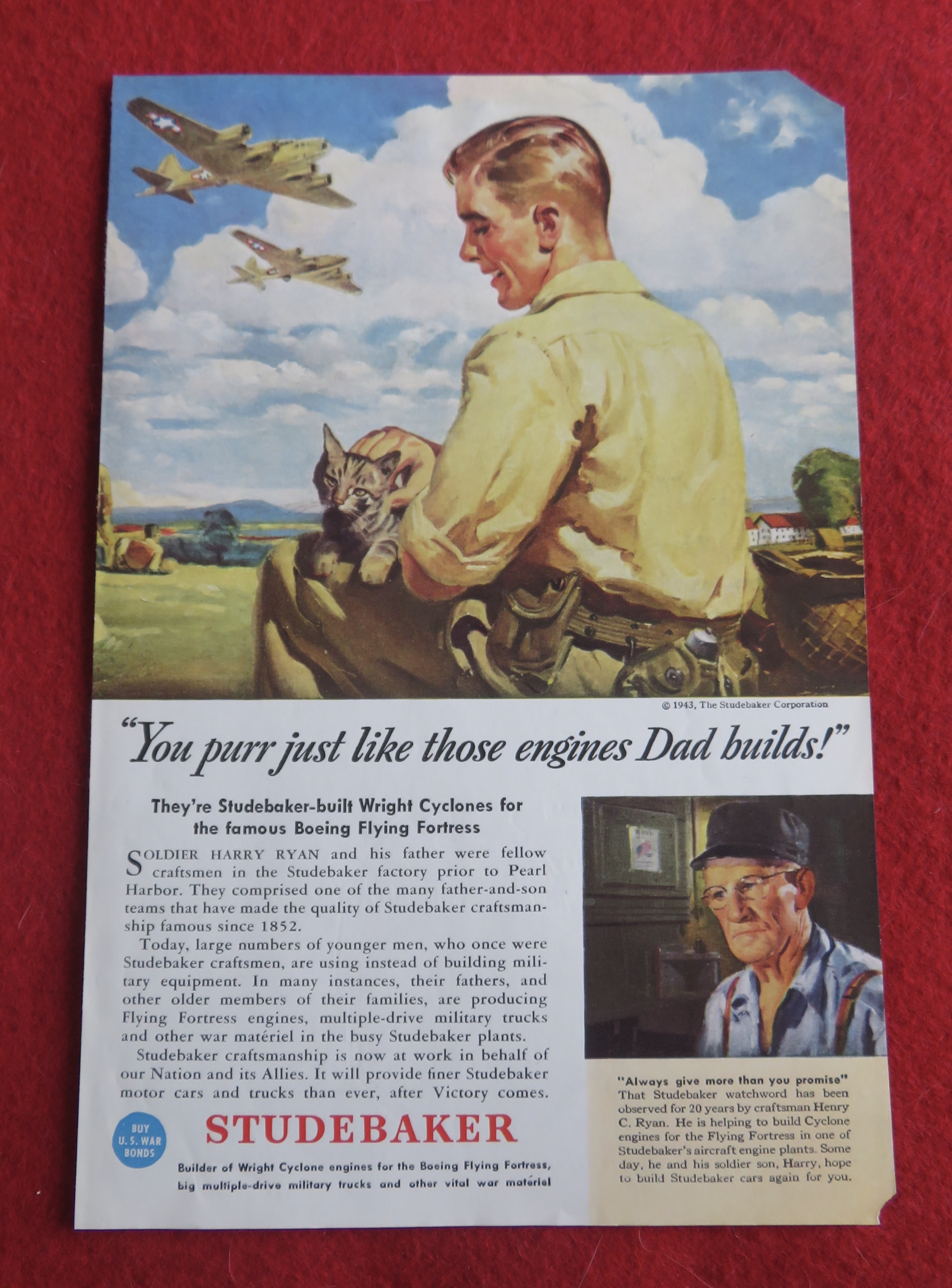 1943 Studebaker with Man Petting His Cat