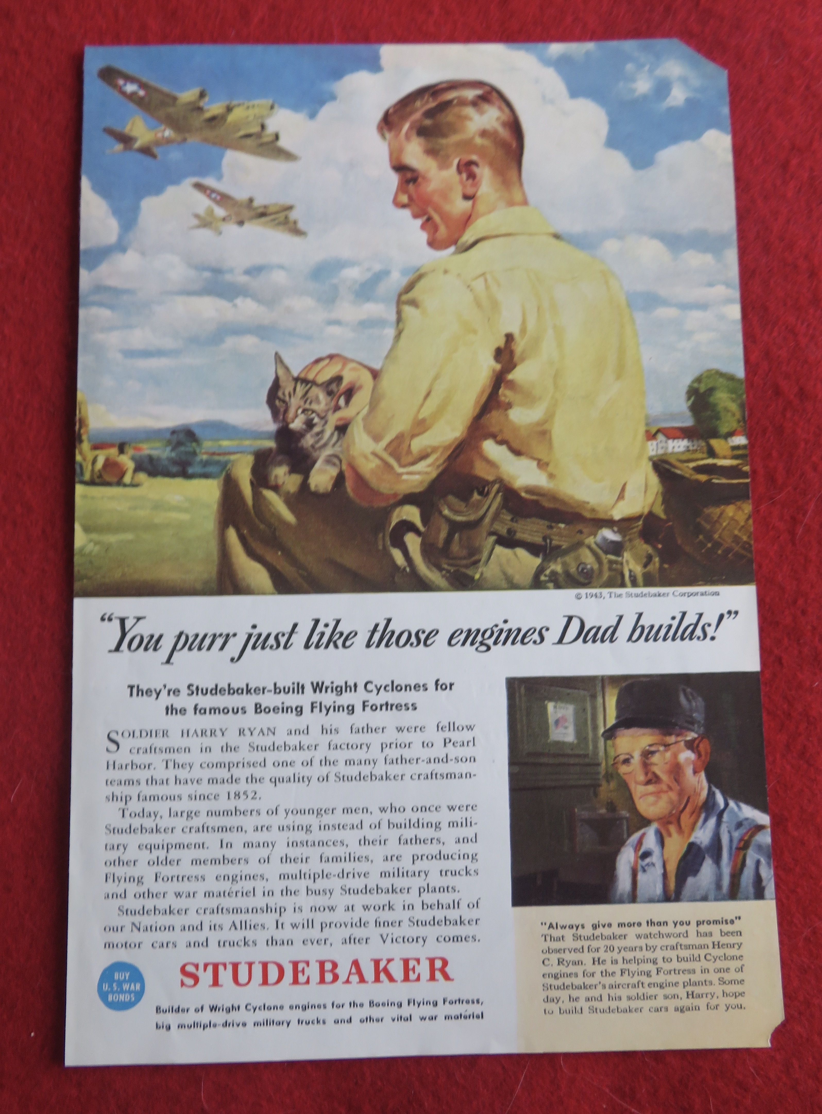 1943 Studebaker with Man Petting His Cat