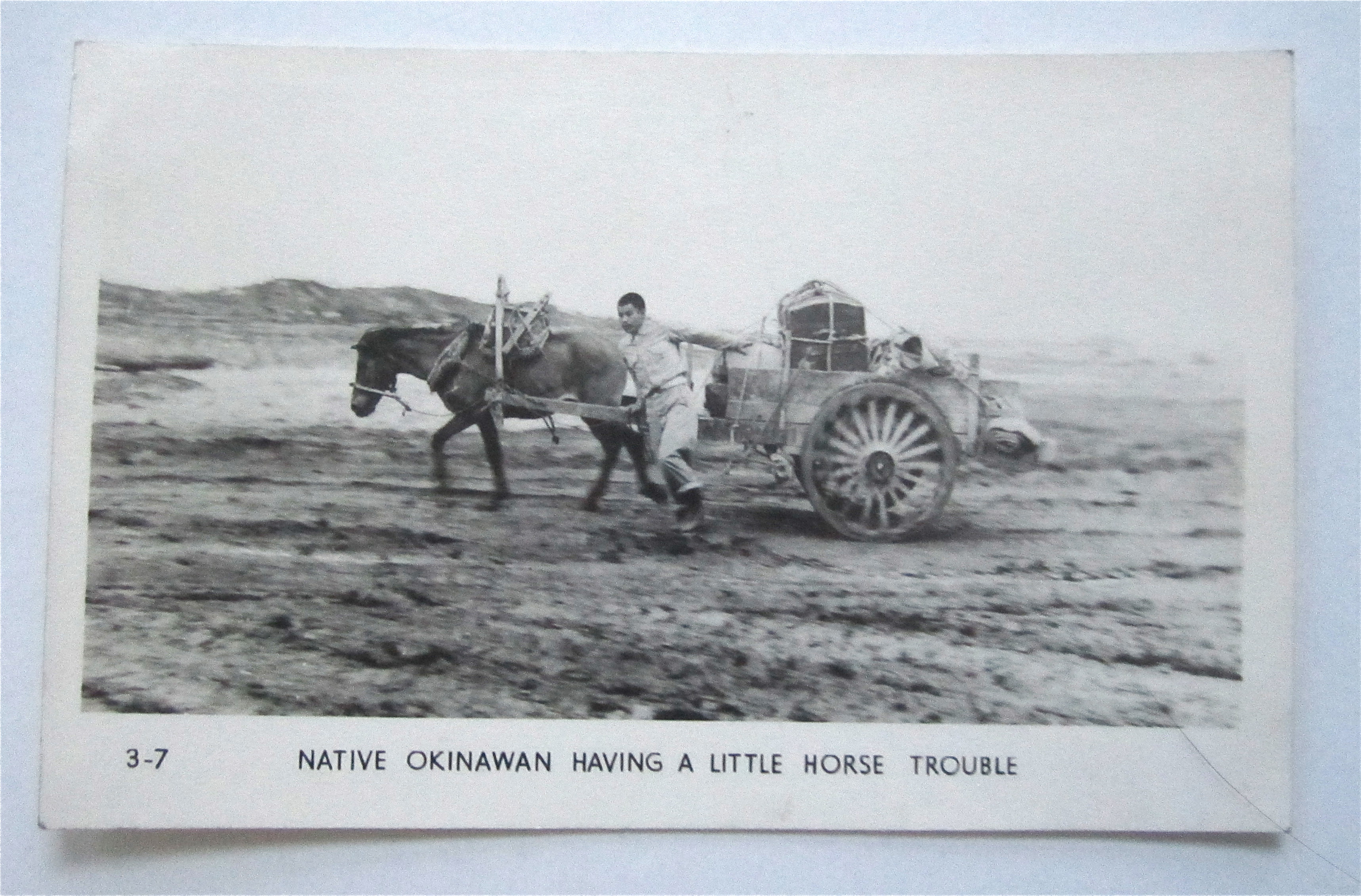 Native Okinawan Having A Little Horse Trouble Postcard