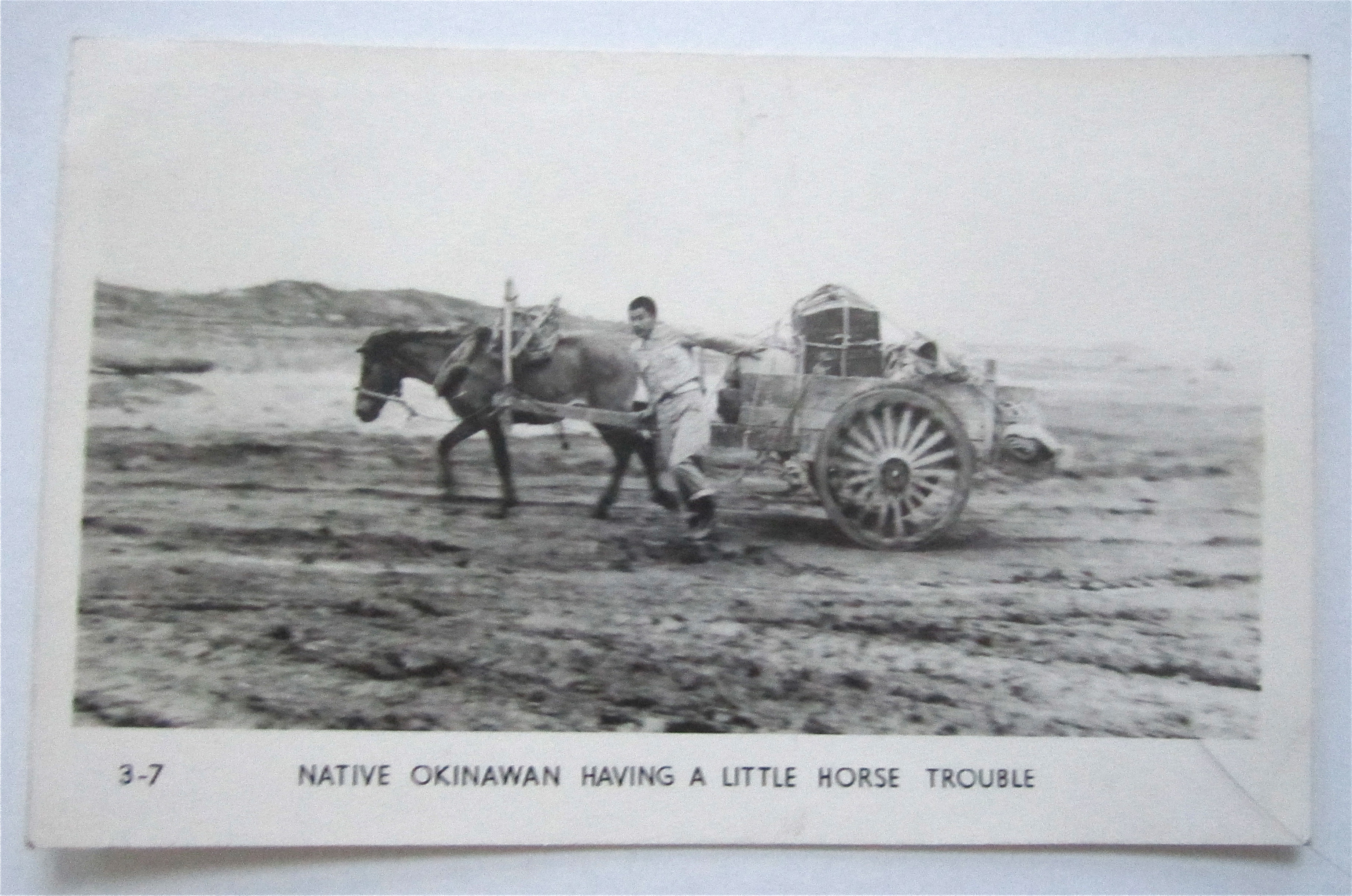 Native Okinawan Having A Little Horse Trouble Postcard