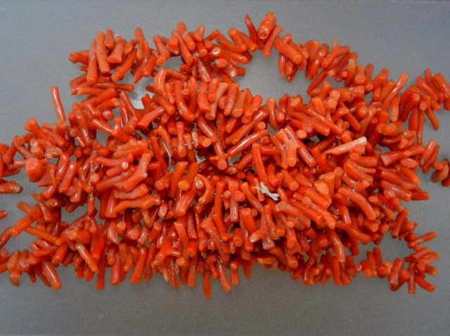 Coral Necklace 50 Inches Antique