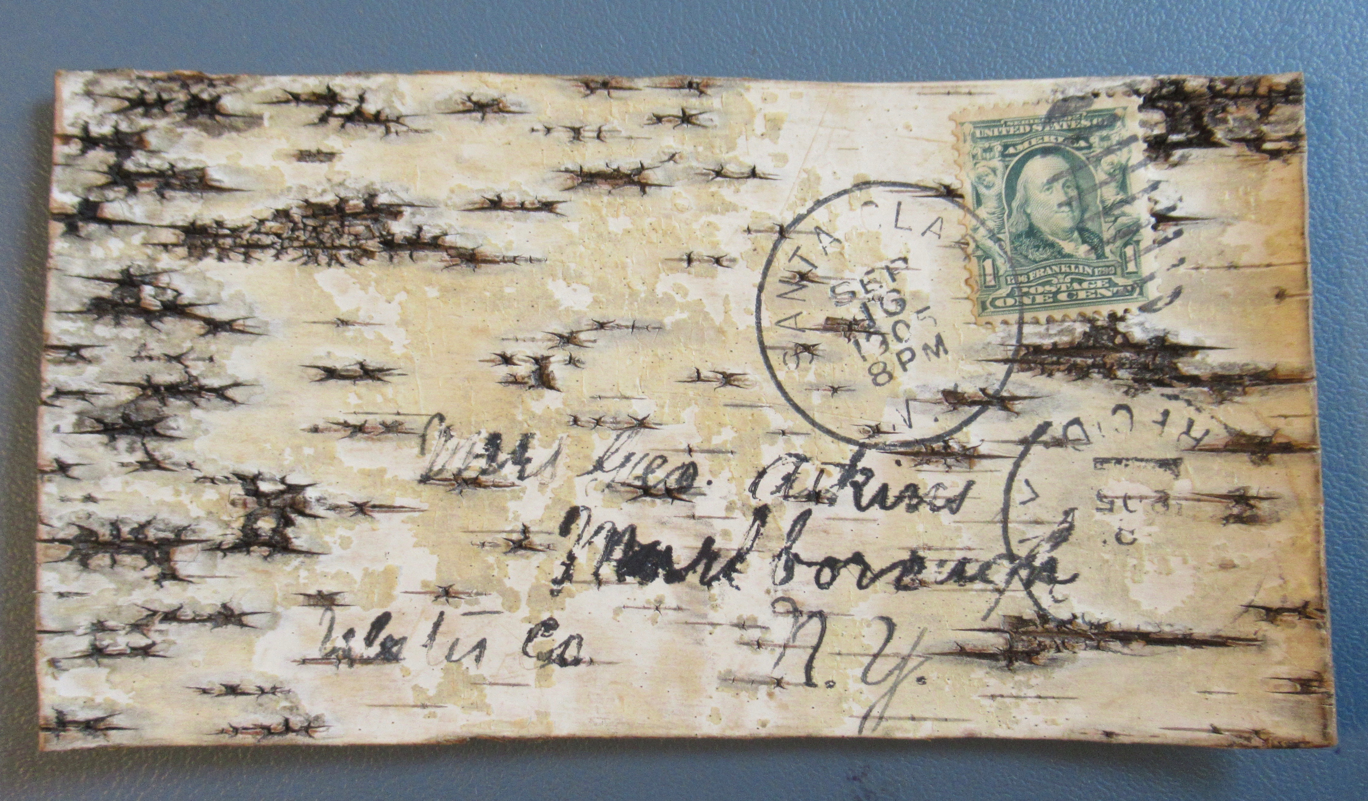 Vintage Wooden Tree Bark Postcard 1905