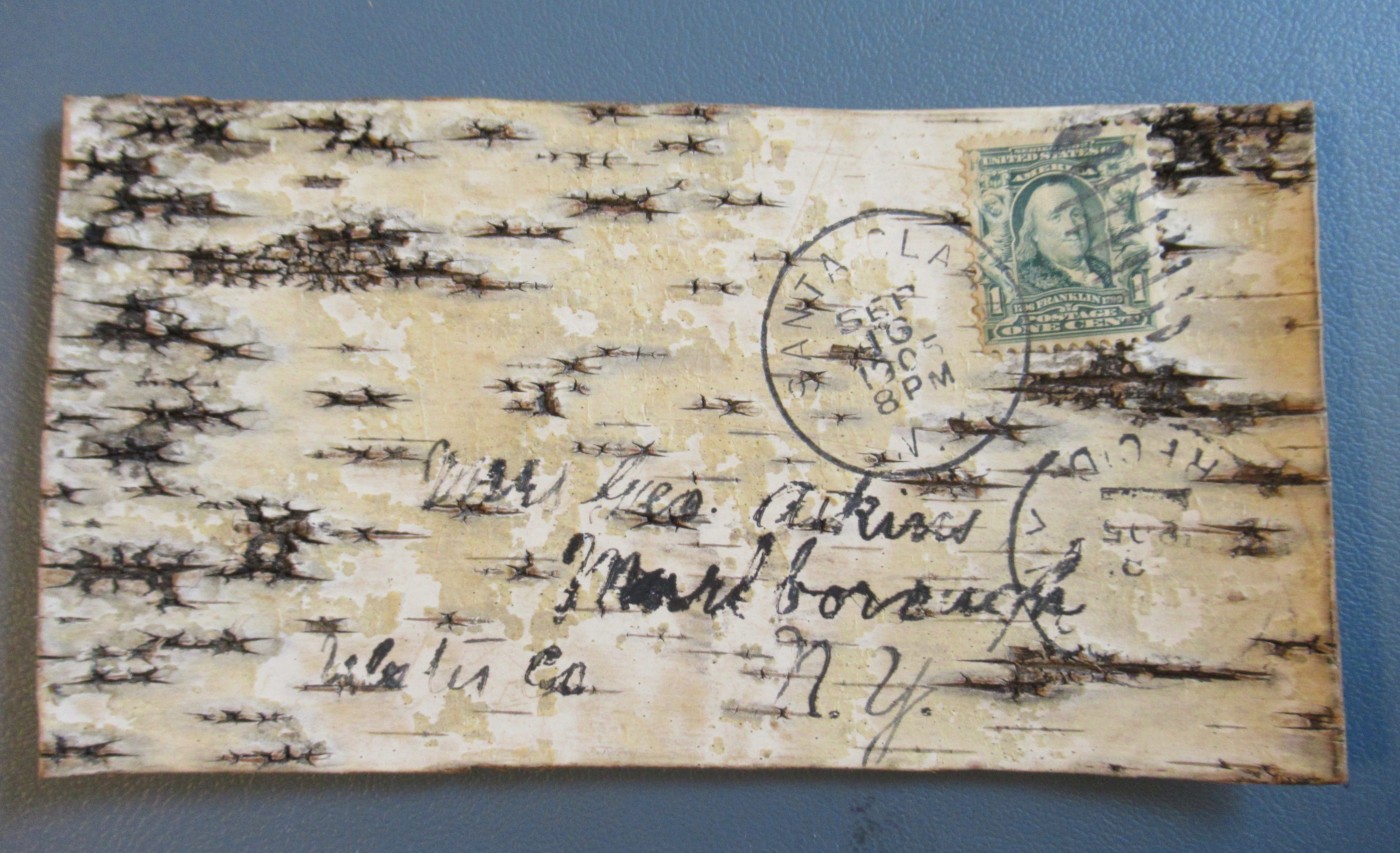 Vintage Wooden Tree Bark Postcard 1905