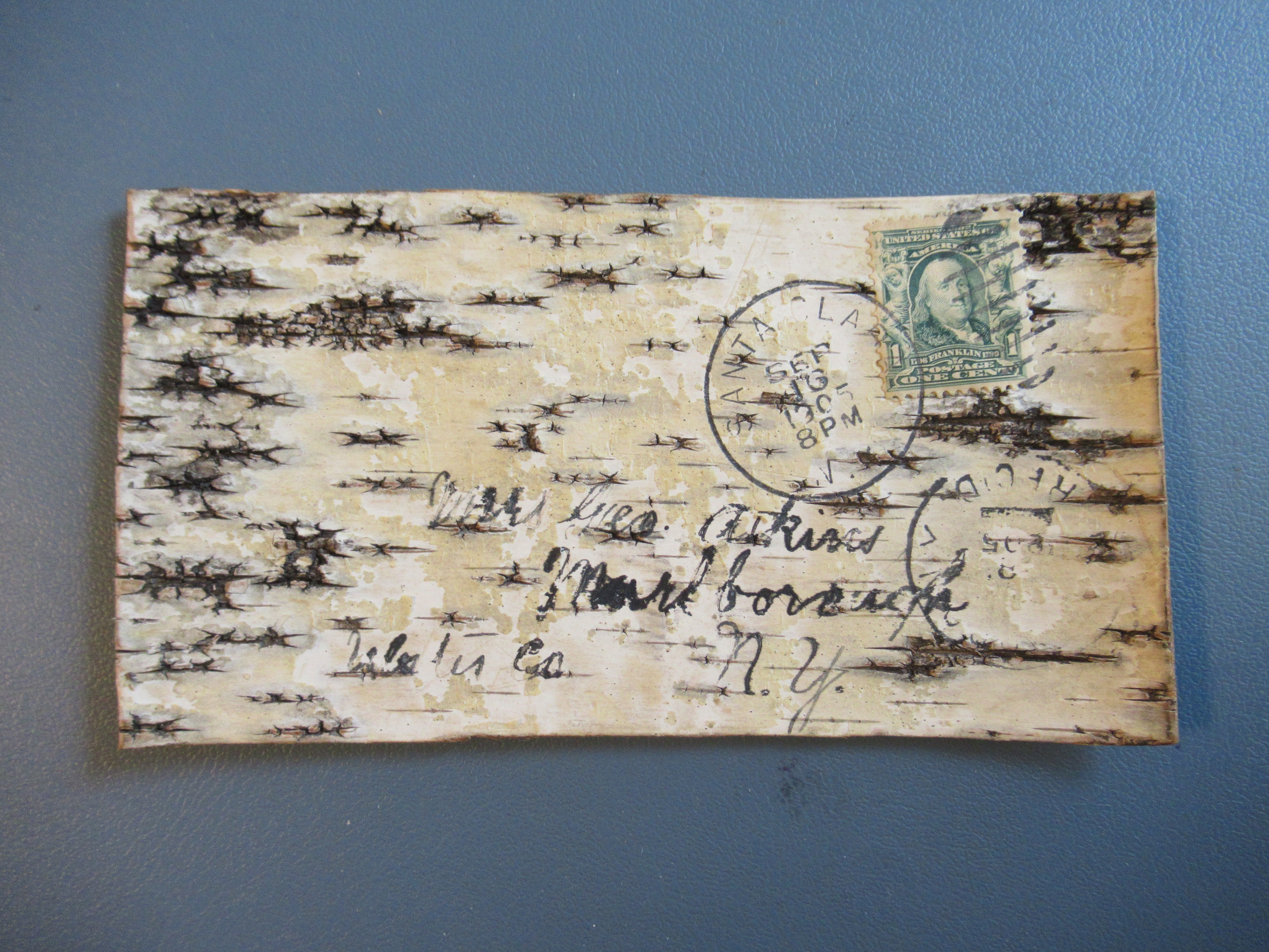 Vintage Wooden Tree Bark Postcard 1905