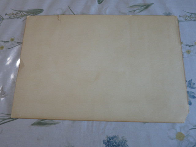 Charles Twelvetrees Merry Makers Baby Print Edward Gross CO NY