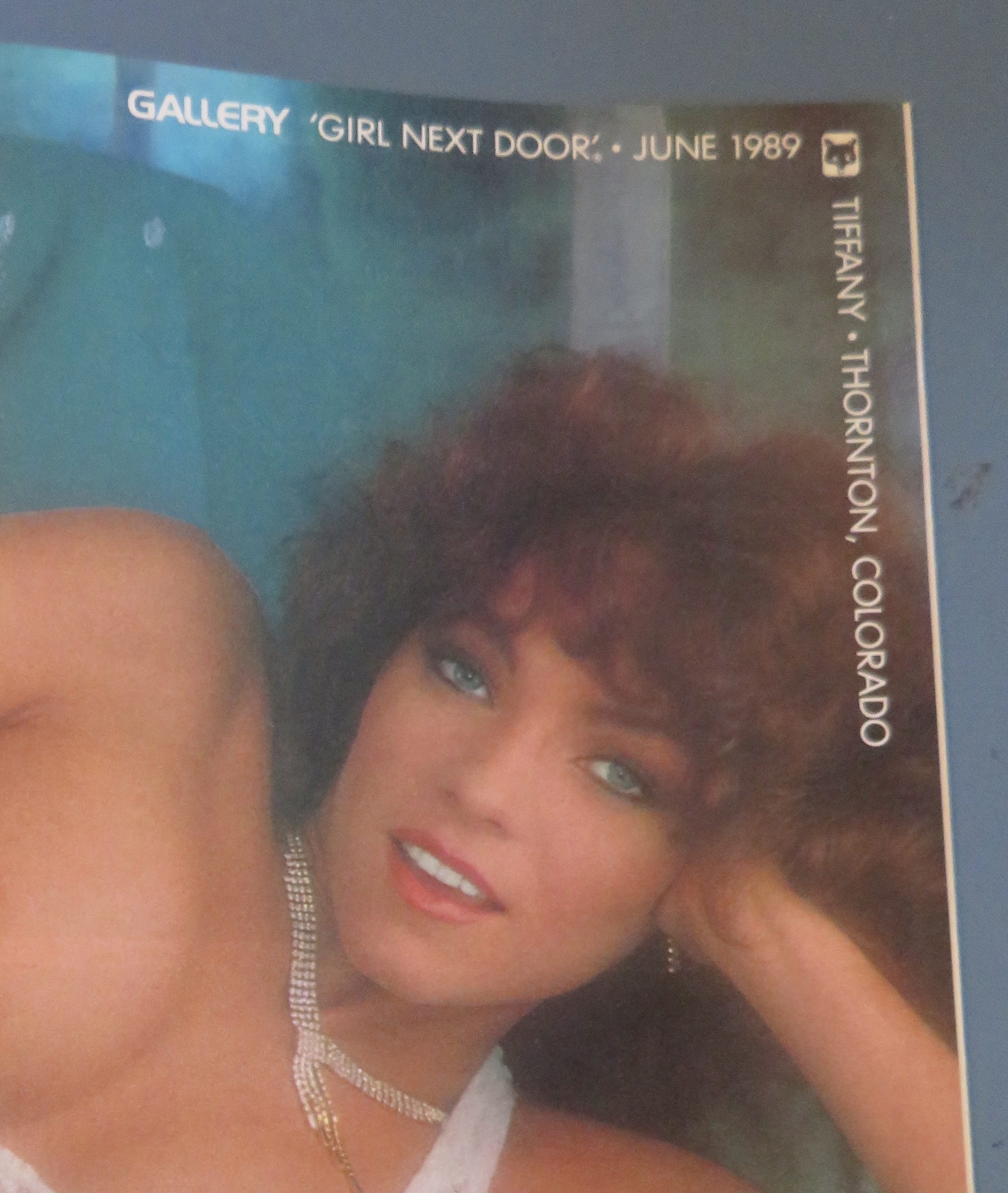 Gallery Magazine June 1989  Stevie