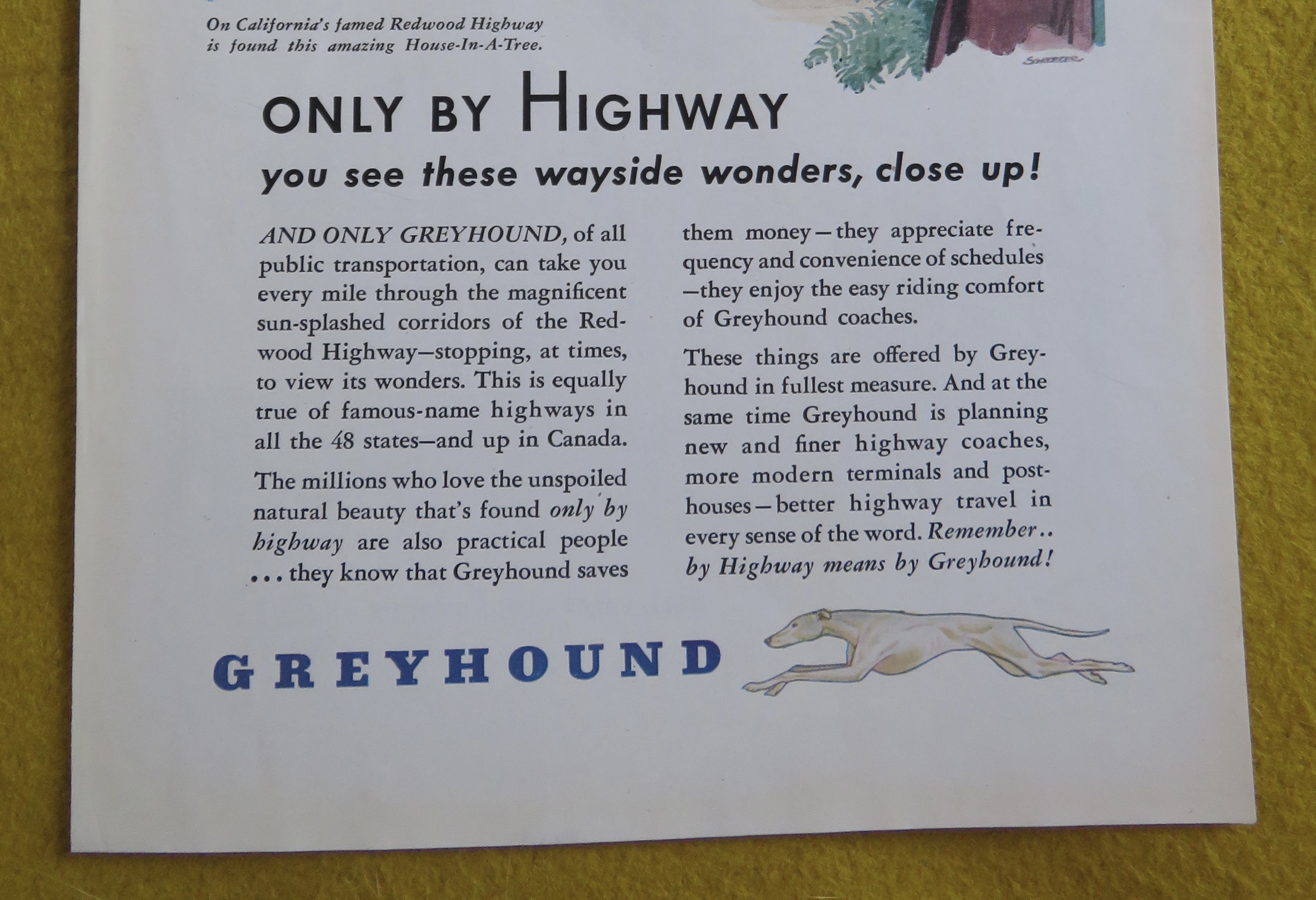 1946 Greyhound with Woman Taking Picture Of A Couple