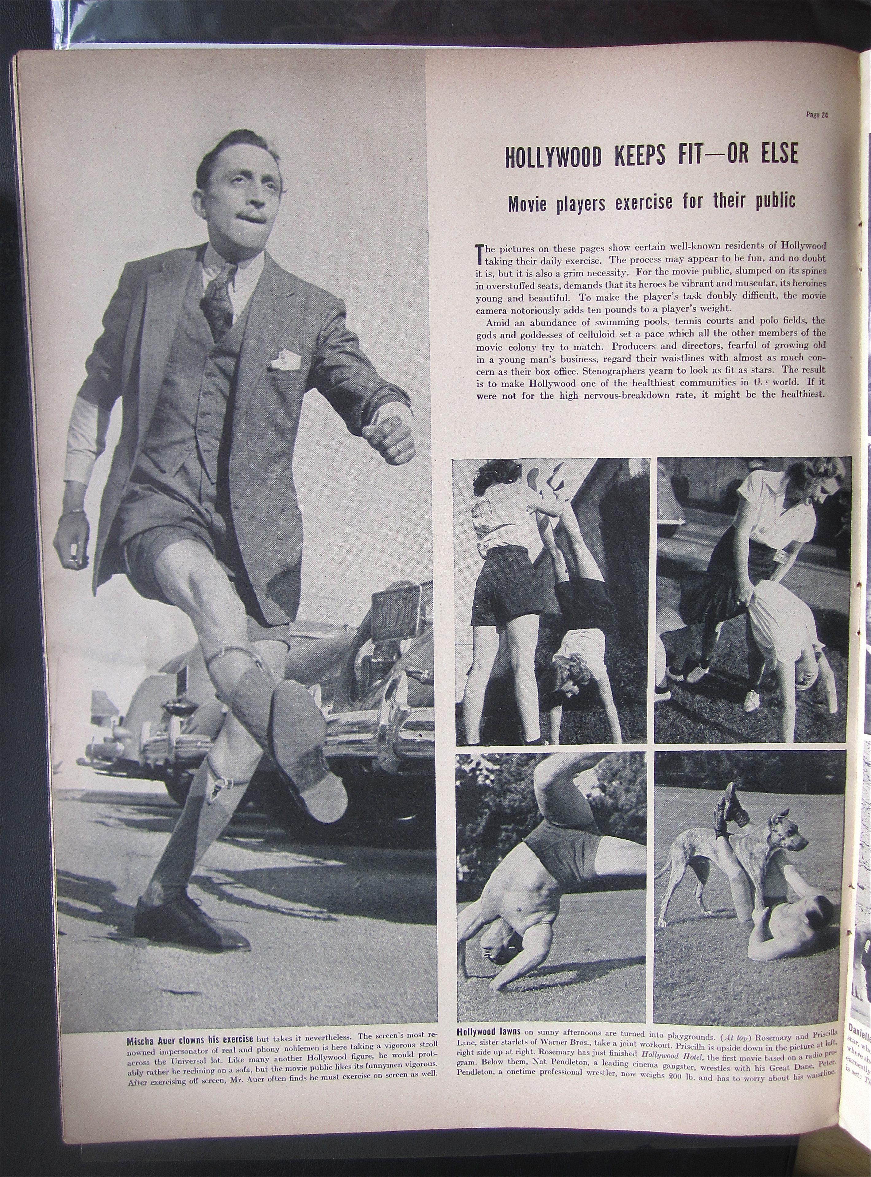 Life Magazine January 10, 1938 Koalas