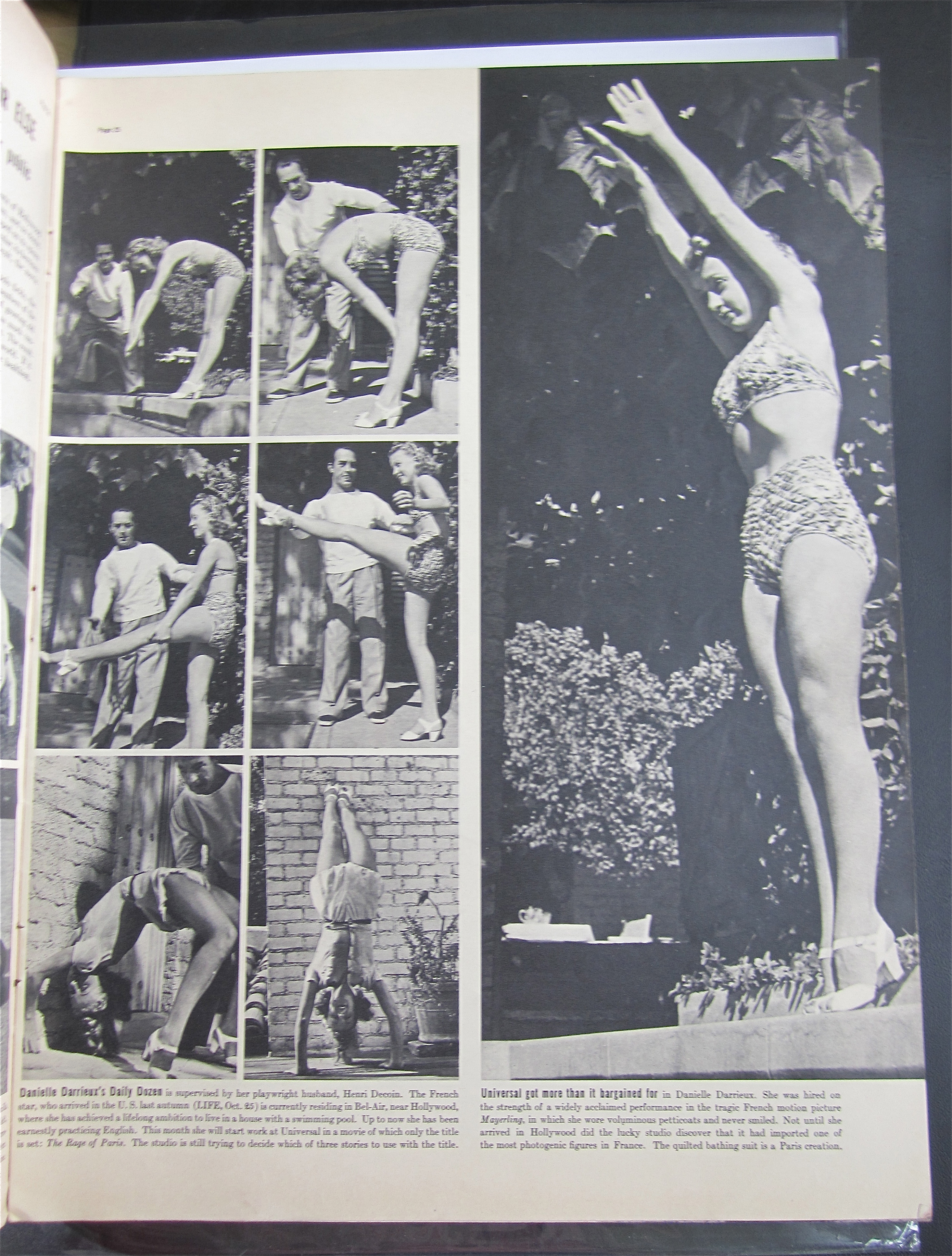 Life Magazine January 10, 1938 Koalas