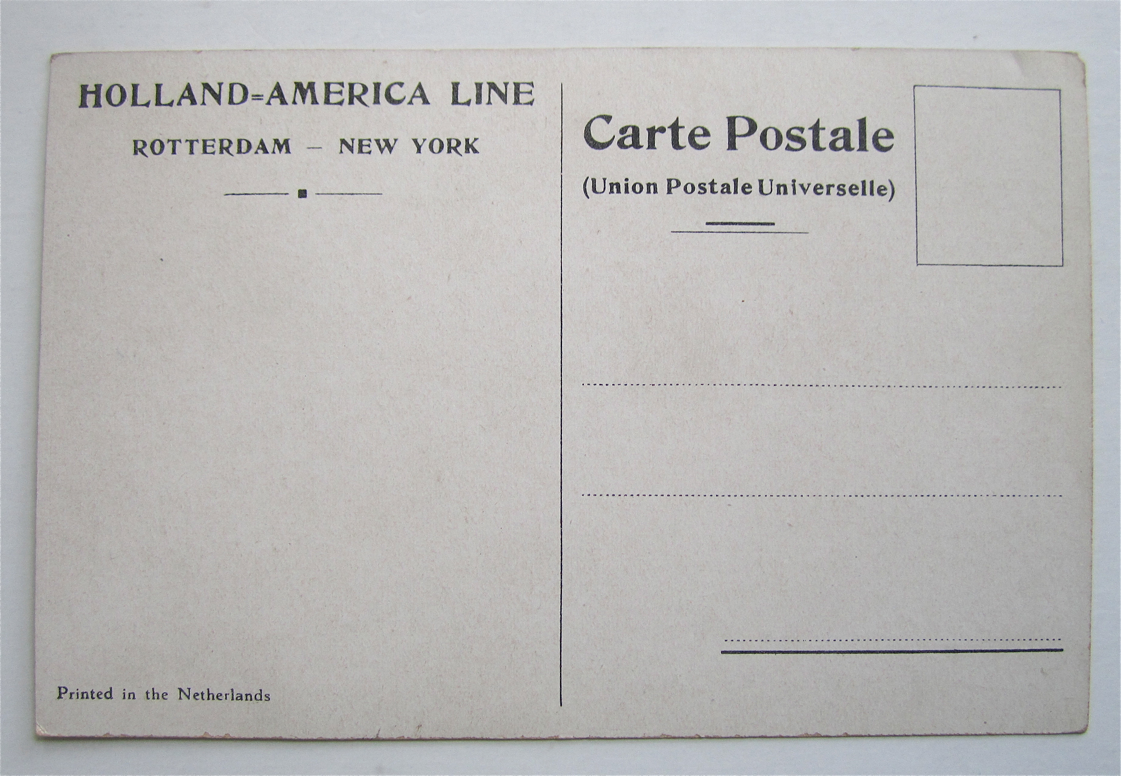 T. S. S. Rotterdam Postcard