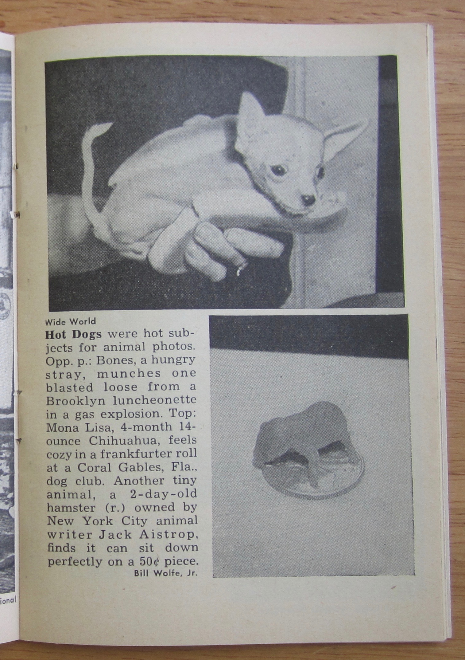 Quick Magazine April 28, 1952 Rise Stevens as Carmen