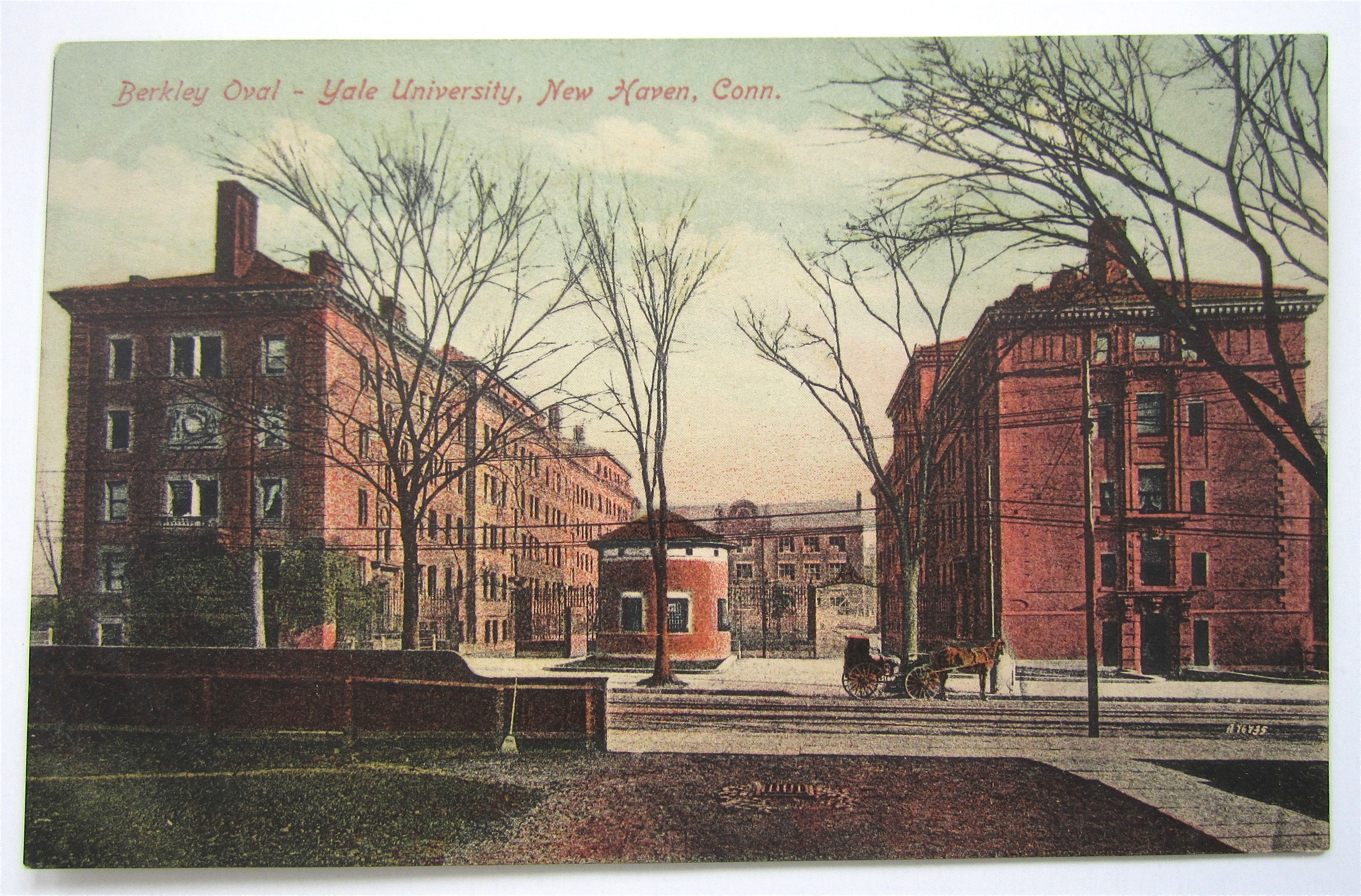 Berkley Oval Yale University Postcard