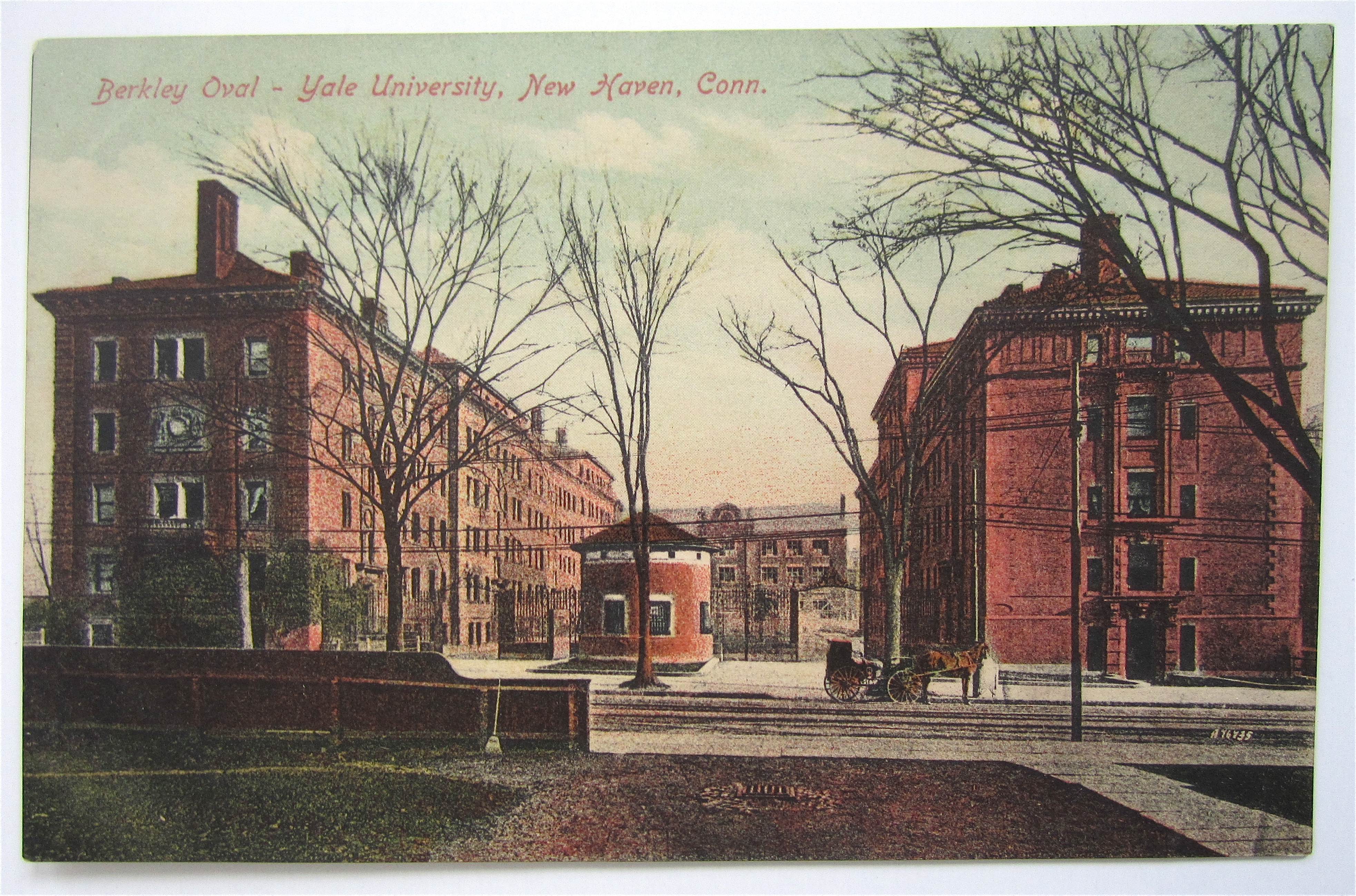 Berkley Oval Yale University Postcard