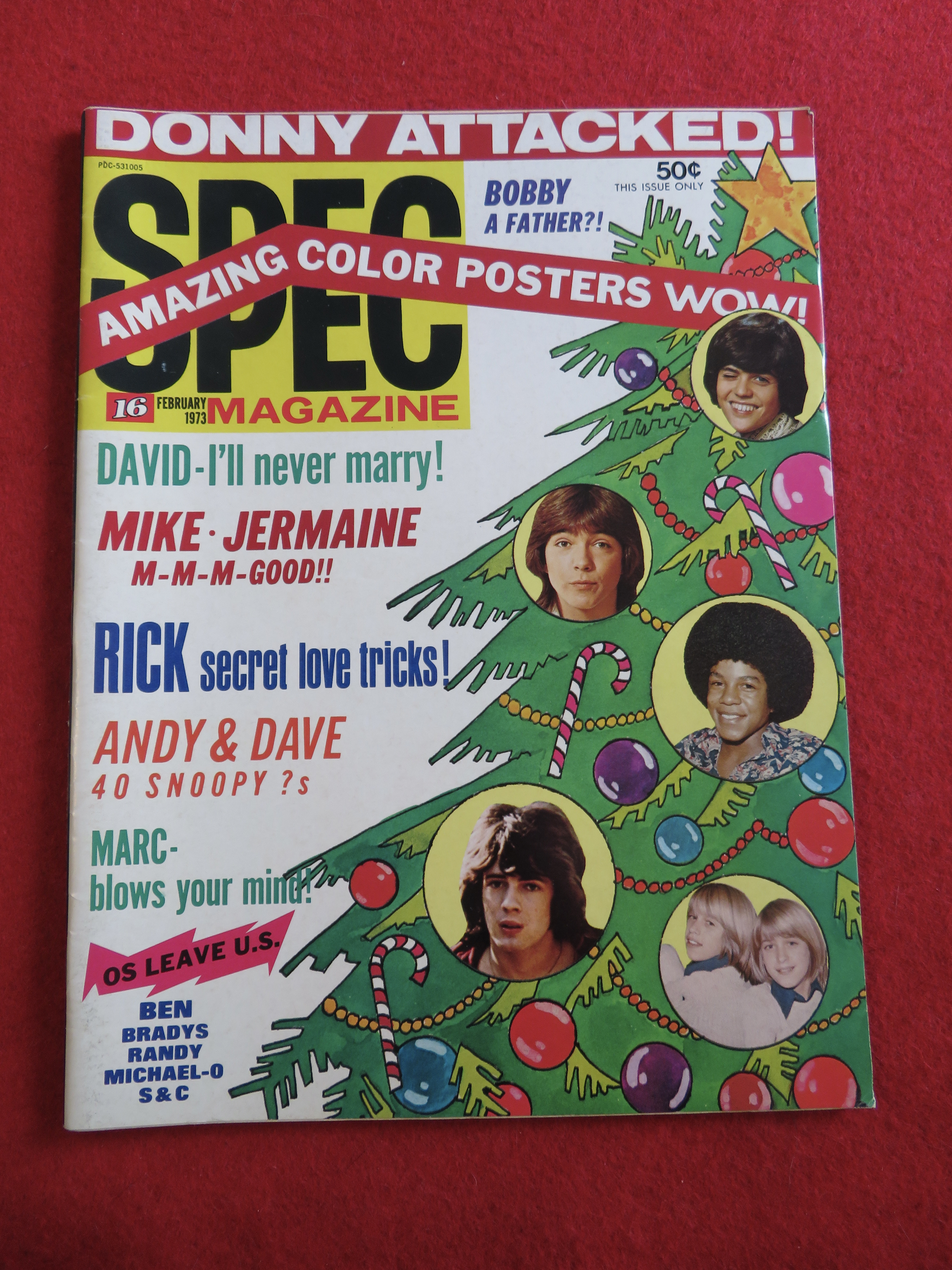 Spec Magazine February 1973 Donny & David